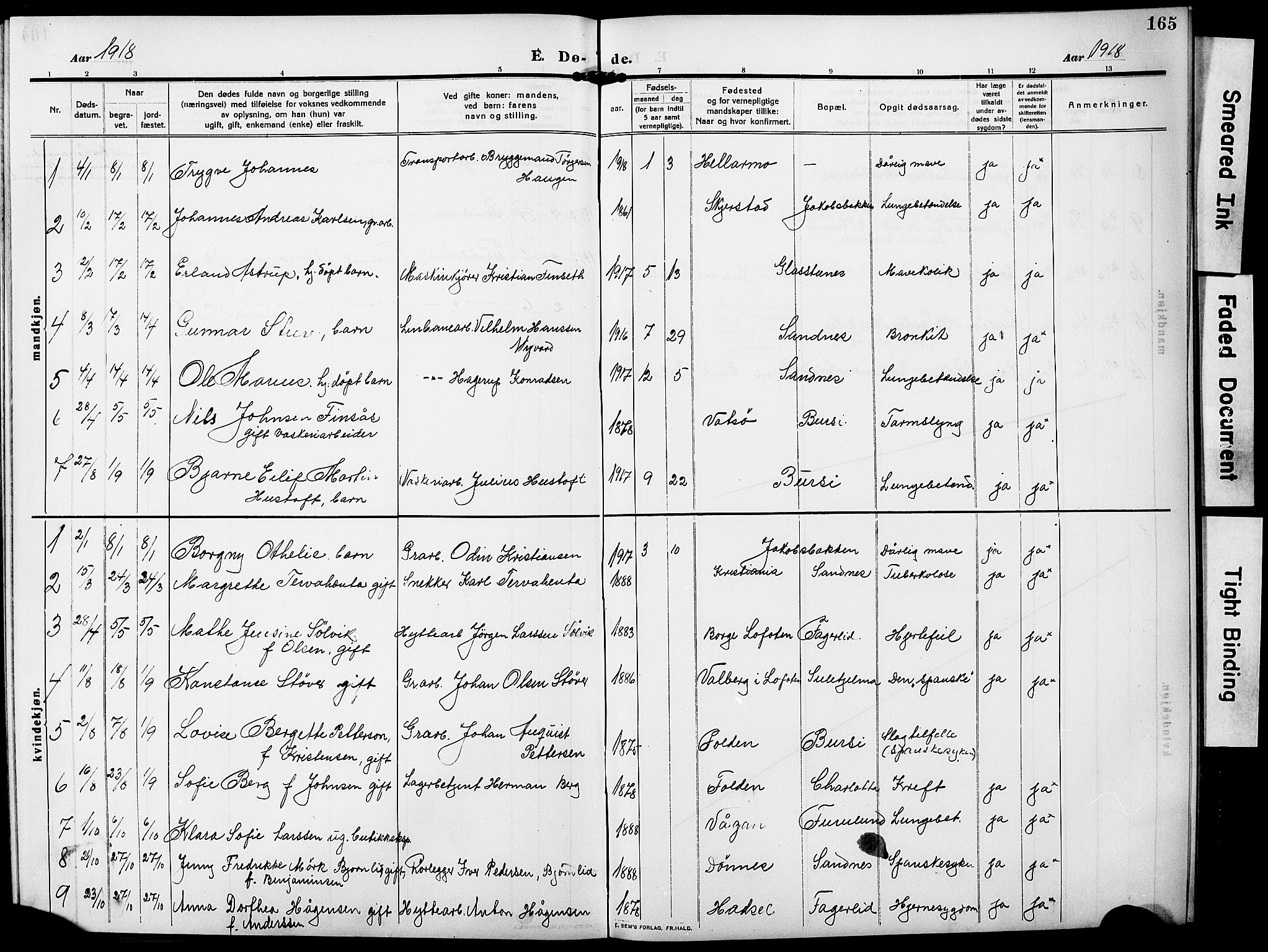 Ministerialprotokoller, klokkerbøker og fødselsregistre - Nordland, AV/SAT-A-1459/850/L0710: Parish register (official) no. 850A02, 1910-1920, p. 165