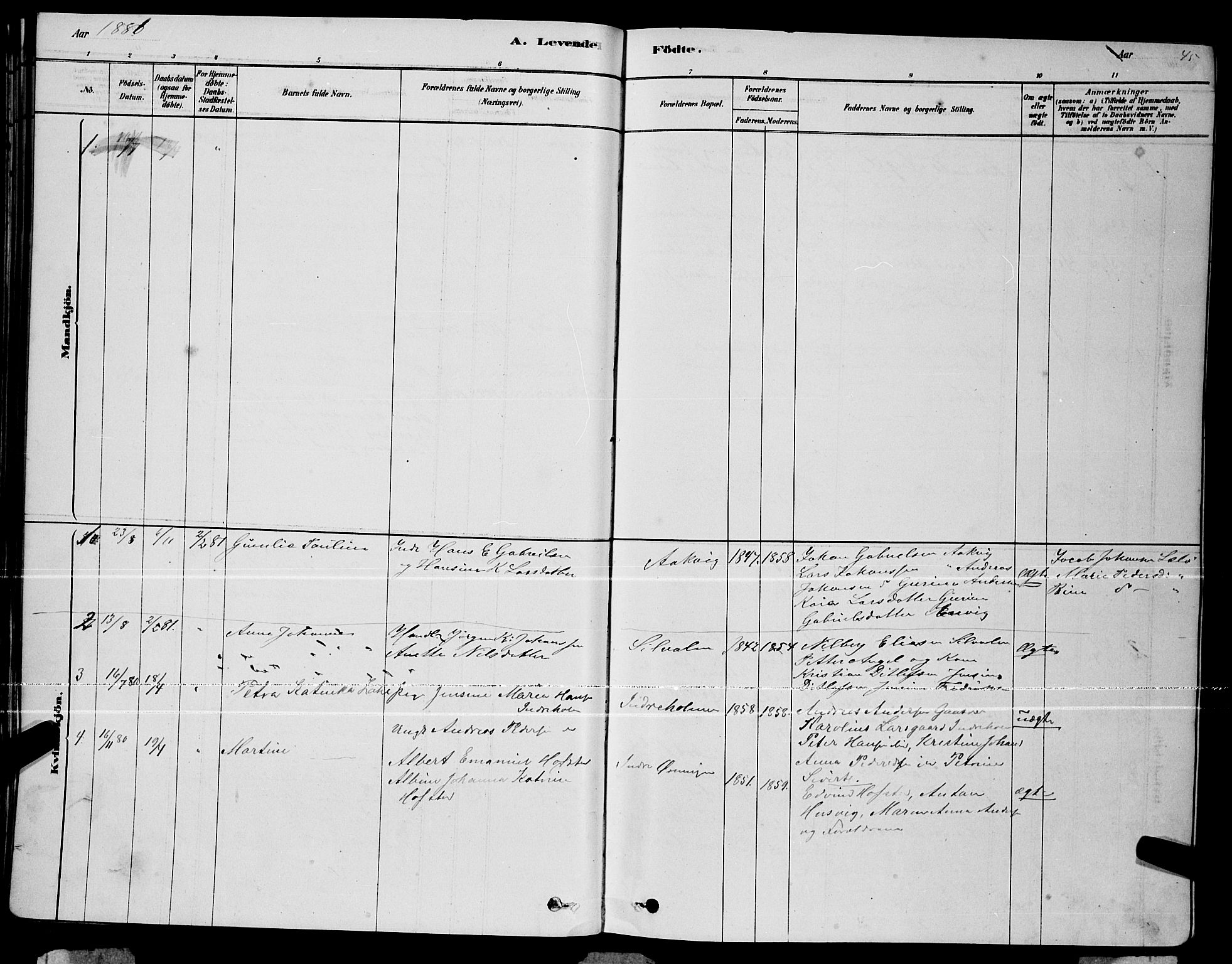 Ministerialprotokoller, klokkerbøker og fødselsregistre - Nordland, AV/SAT-A-1459/834/L0513: Parish register (copy) no. 834C04, 1877-1892, p. 45