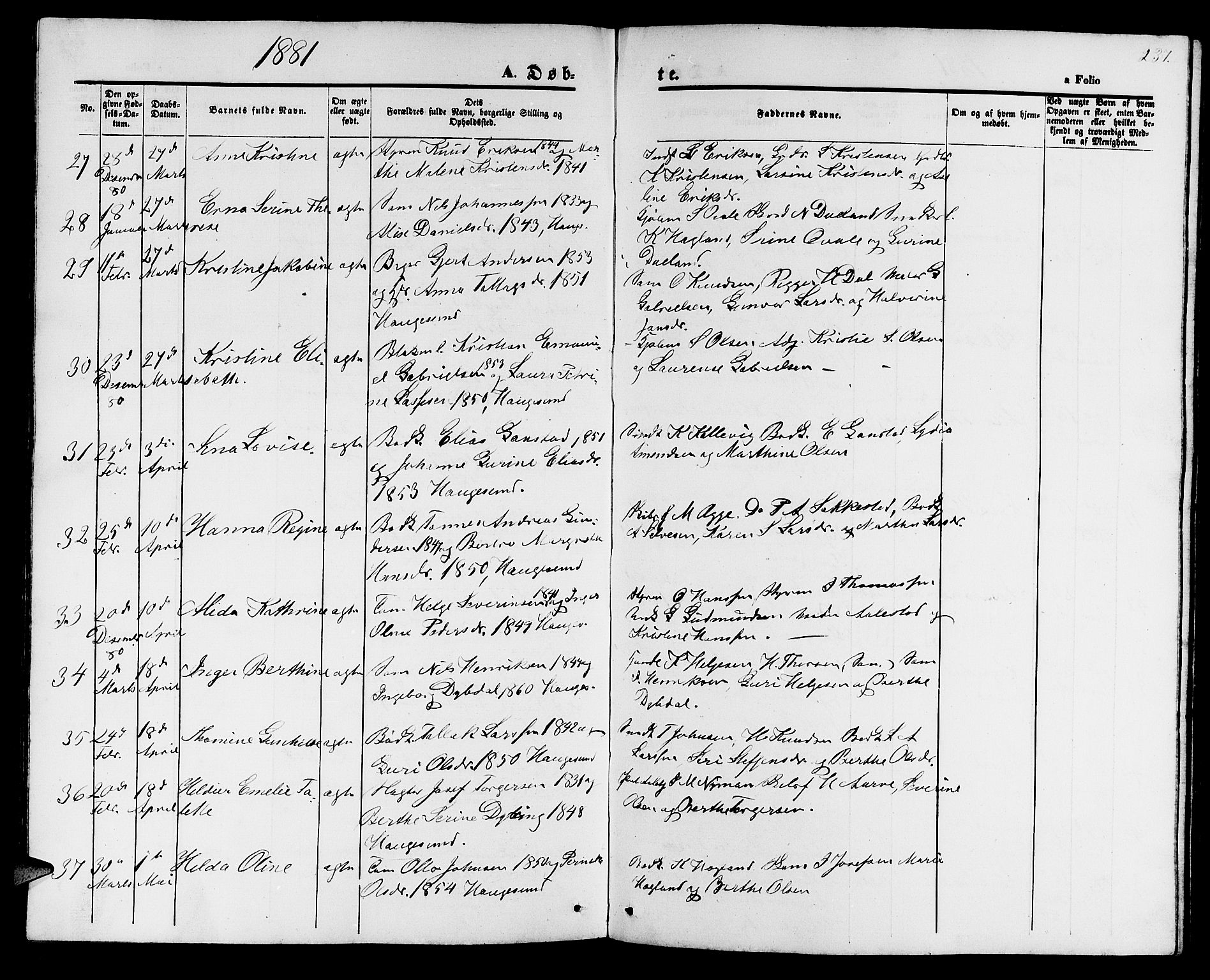 Haugesund sokneprestkontor, AV/SAST-A -101863/H/Ha/Hab/L0001: Parish register (copy) no. B 1, 1873-1881, p. 237