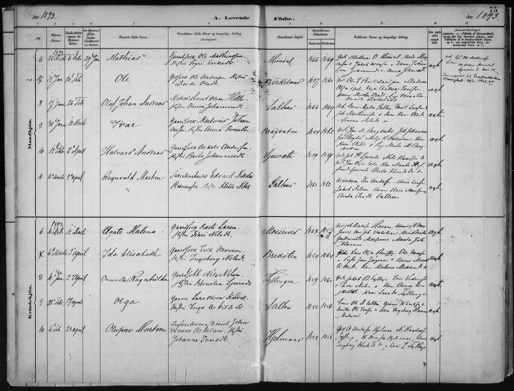 Hamre sokneprestembete, AV/SAB-A-75501/H/Ha/Haa/Haab/L0001: Parish register (official) no. B  1, 1882-1905, p. 75