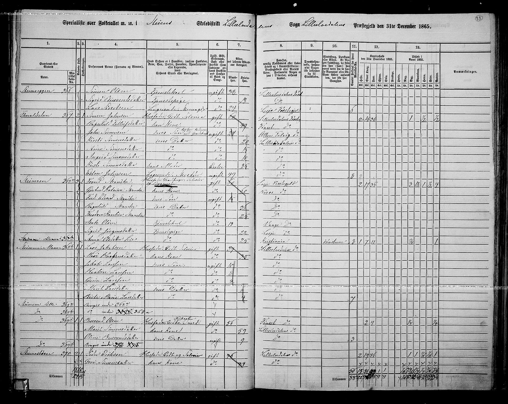 RA, 1865 census for Lille Elvedalen, 1865, p. 29