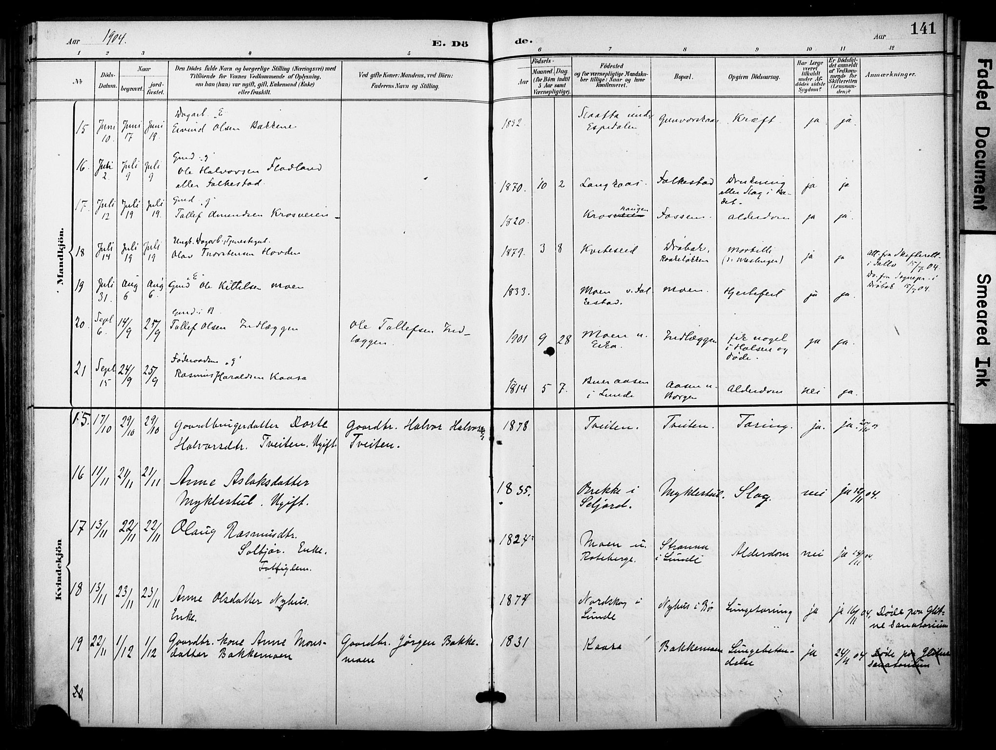 Bø kirkebøker, SAKO/A-257/F/Fa/L0012: Parish register (official) no. 12, 1900-1908, p. 141