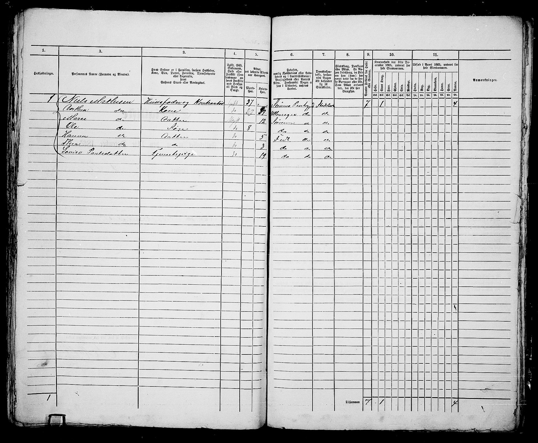 RA, 1865 census for Vinger/Kongsvinger, 1865, p. 171