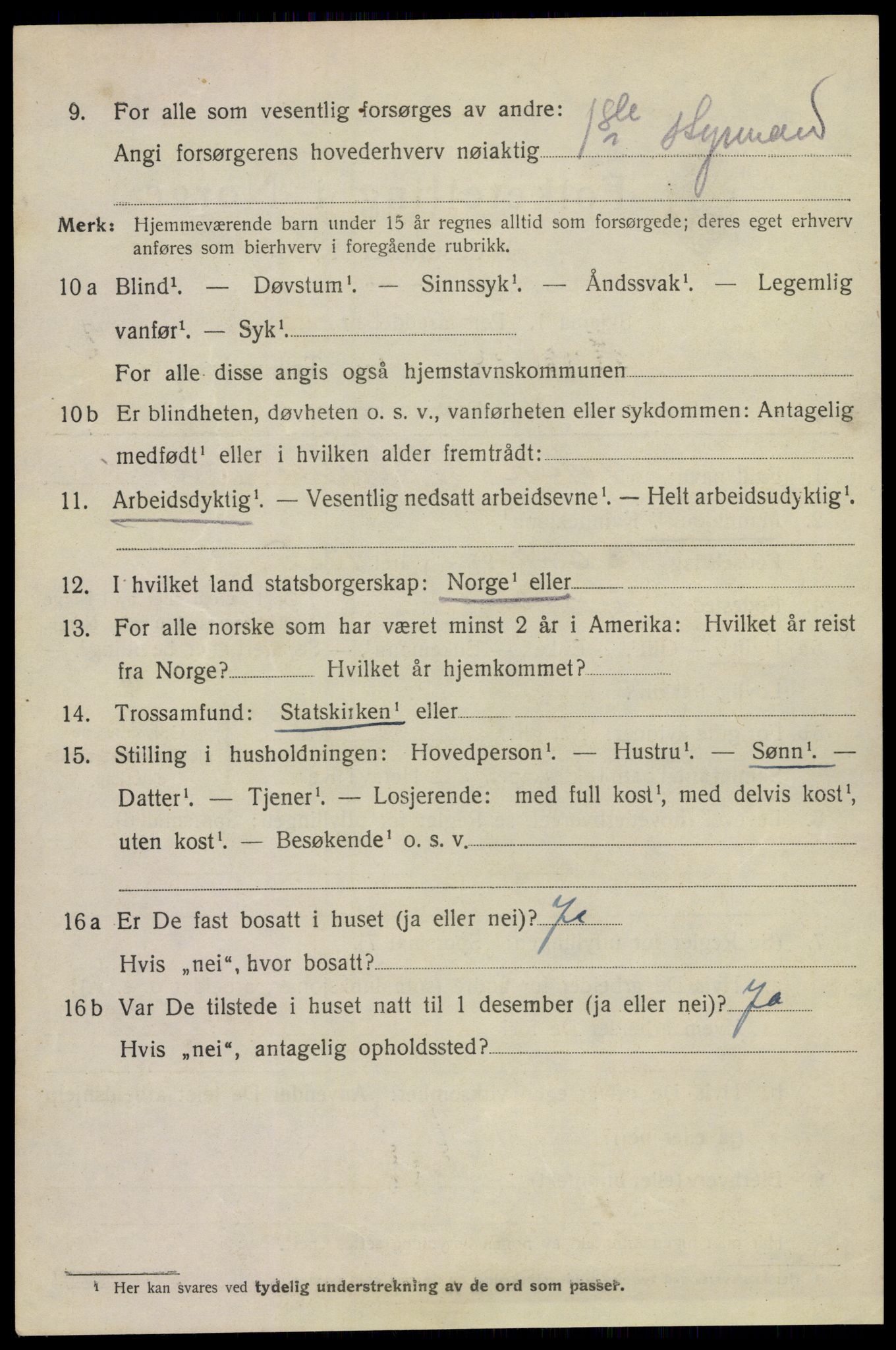 SAKO, 1920 census for Horten, 1920, p. 10338