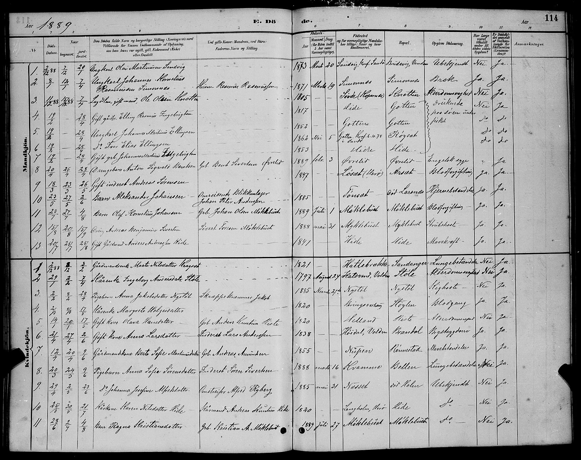 Ministerialprotokoller, klokkerbøker og fødselsregistre - Møre og Romsdal, AV/SAT-A-1454/503/L0048: Parish register (copy) no. 503C03, 1885-1893, p. 114