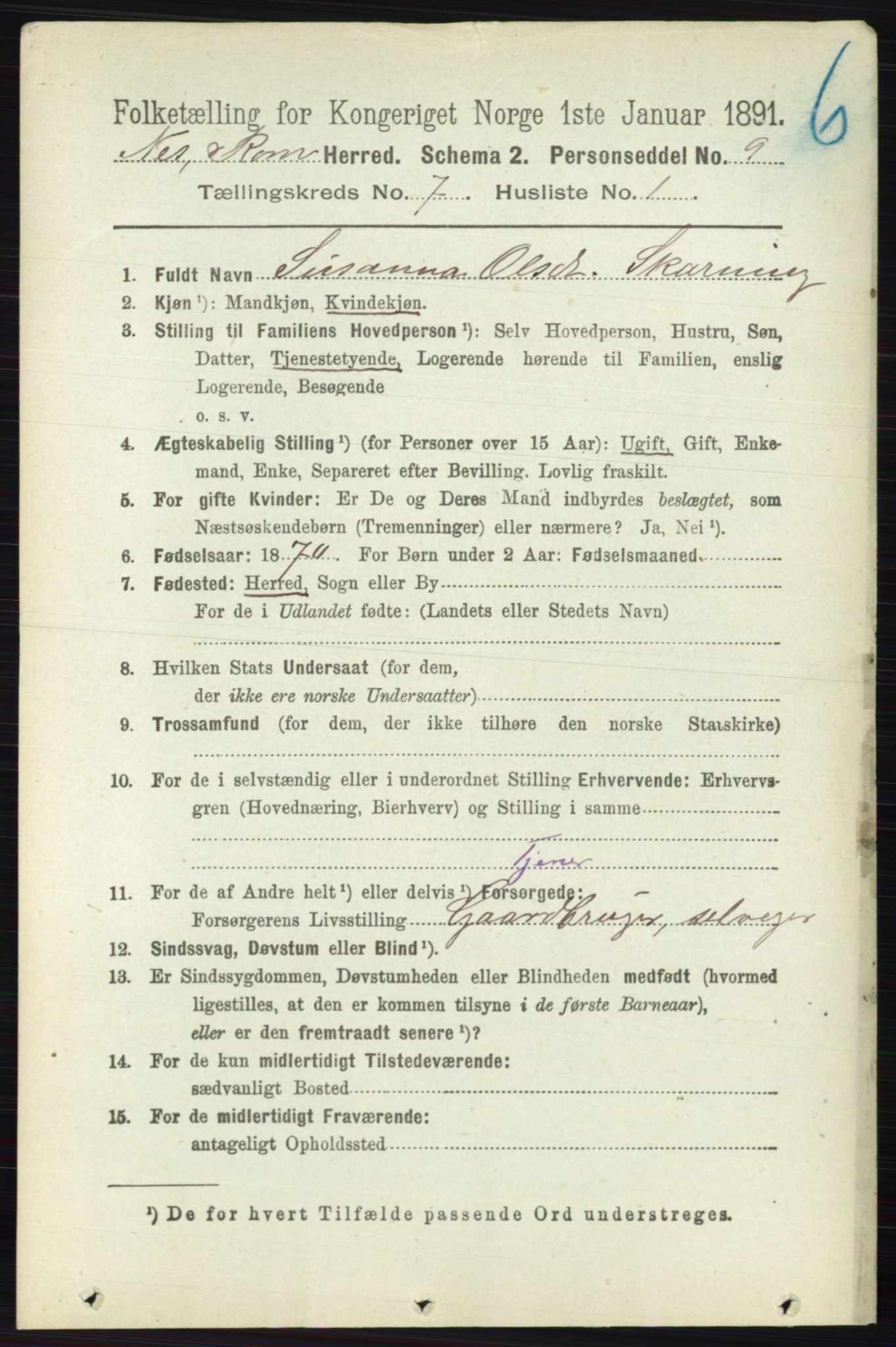 RA, 1891 census for 0236 Nes, 1891, p. 4020