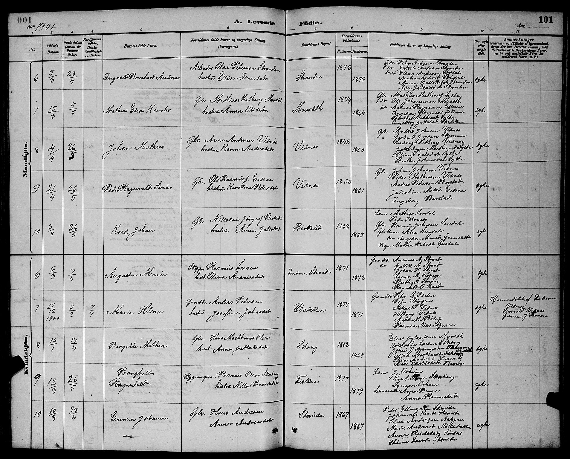 Ministerialprotokoller, klokkerbøker og fødselsregistre - Møre og Romsdal, AV/SAT-A-1454/501/L0017: Parish register (copy) no. 501C03, 1885-1901, p. 101