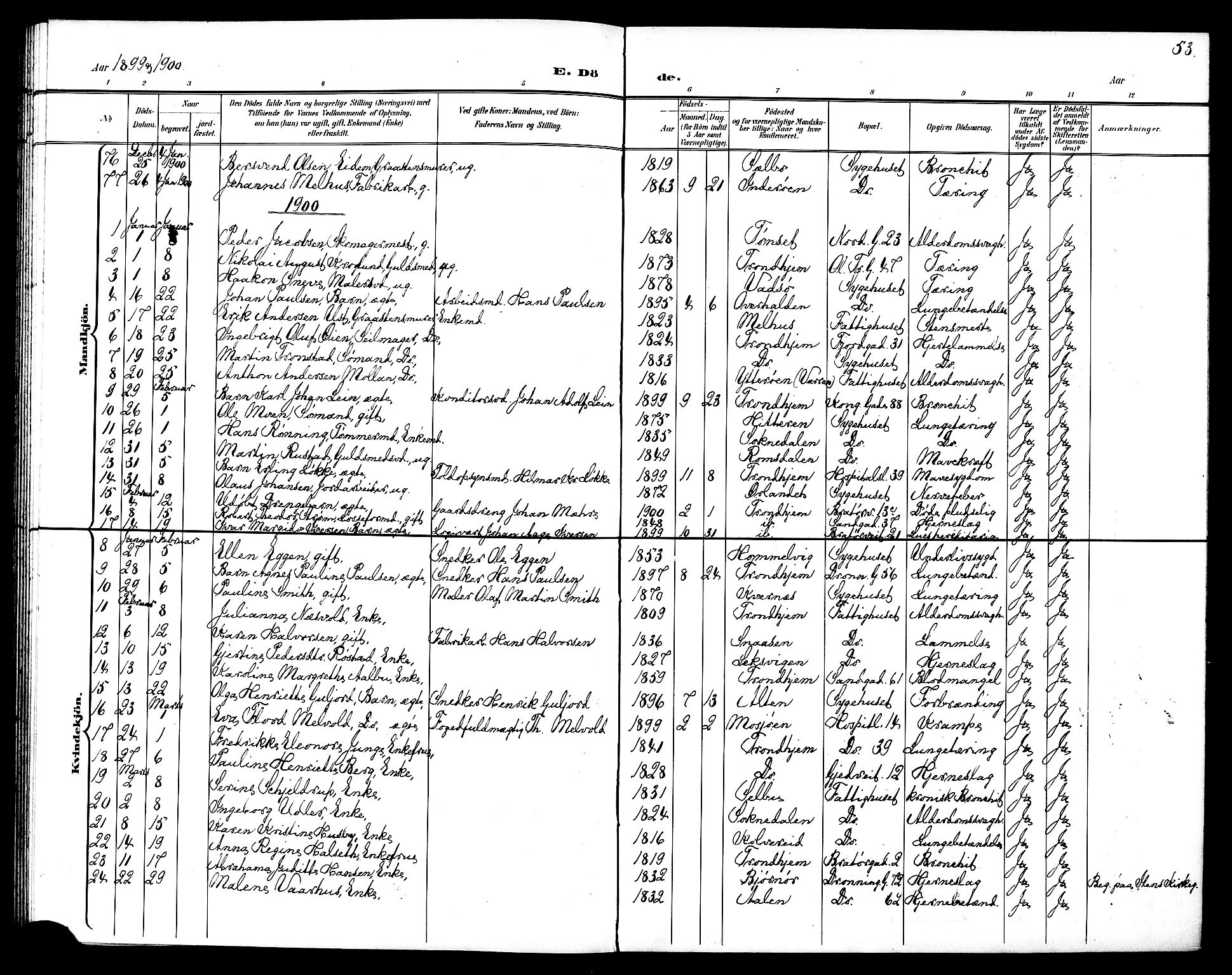 Ministerialprotokoller, klokkerbøker og fødselsregistre - Sør-Trøndelag, AV/SAT-A-1456/602/L0144: Parish register (copy) no. 602C12, 1897-1905, p. 53