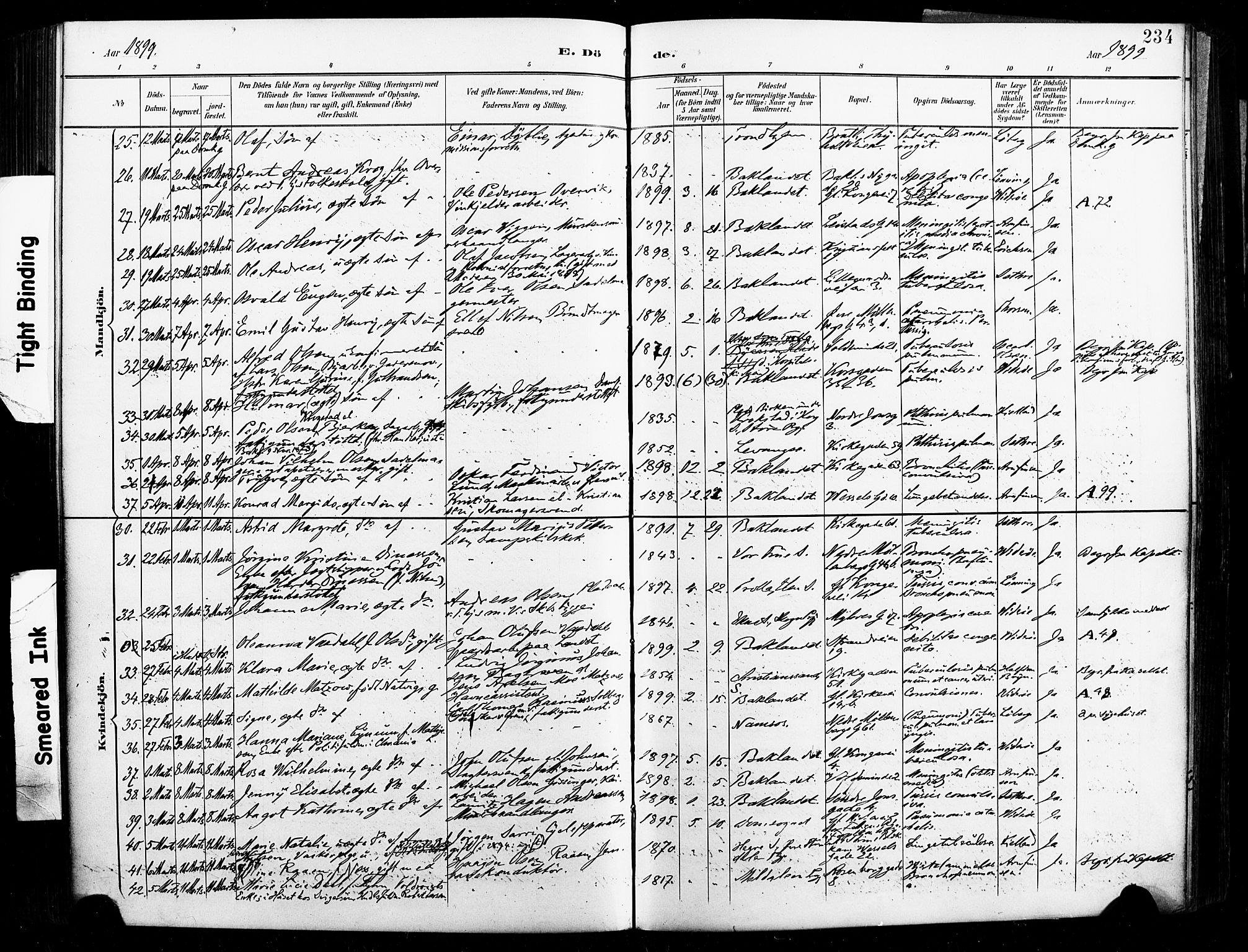 Ministerialprotokoller, klokkerbøker og fødselsregistre - Sør-Trøndelag, SAT/A-1456/604/L0198: Parish register (official) no. 604A19, 1893-1900, p. 234