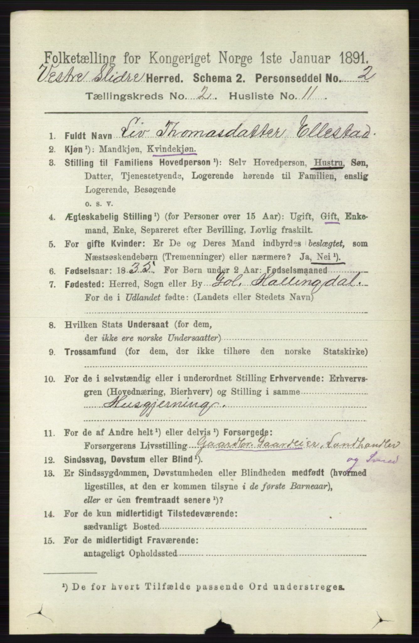 RA, 1891 census for 0543 Vestre Slidre, 1891, p. 586