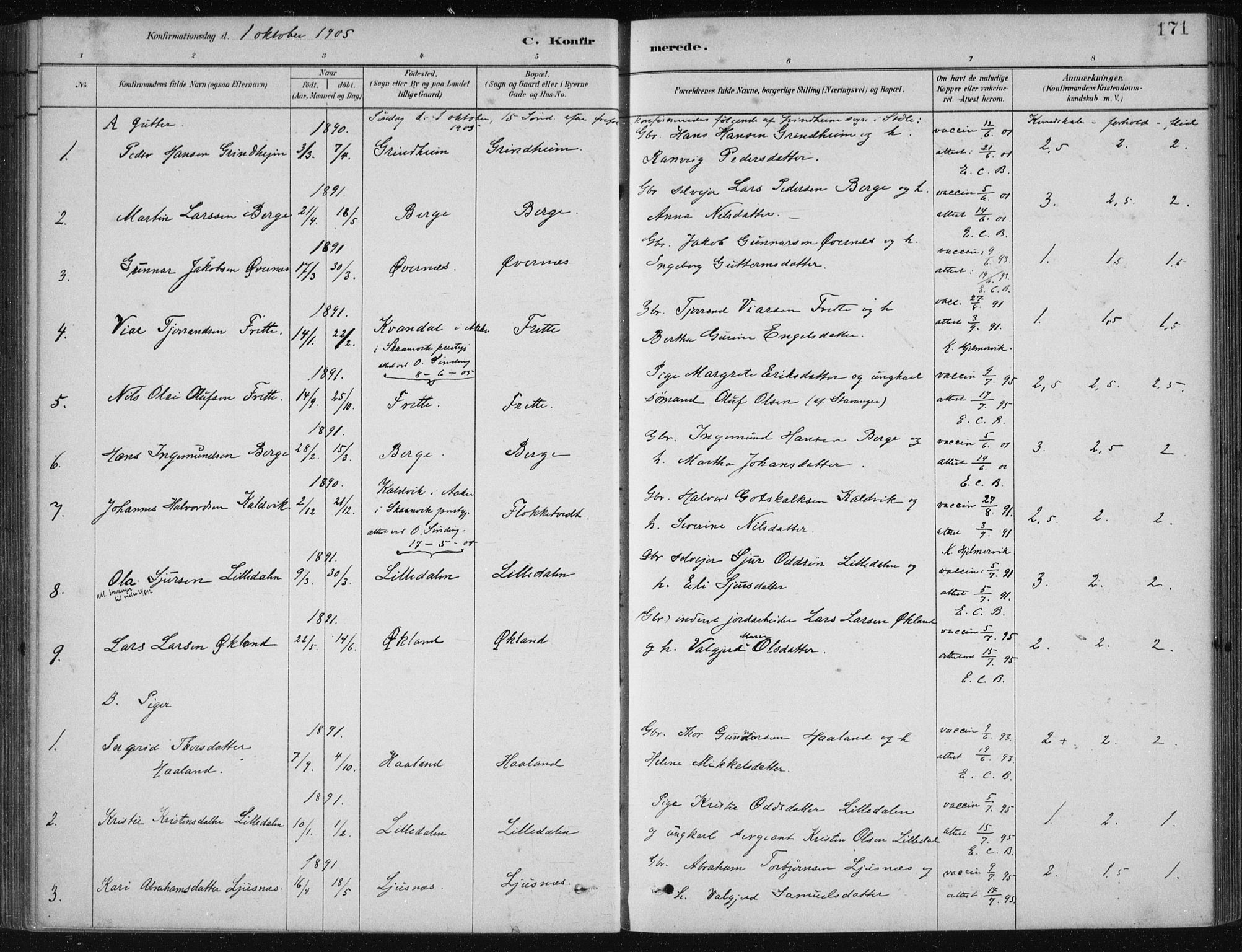 Etne sokneprestembete, SAB/A-75001/H/Haa: Parish register (official) no. D  1, 1879-1919, p. 171