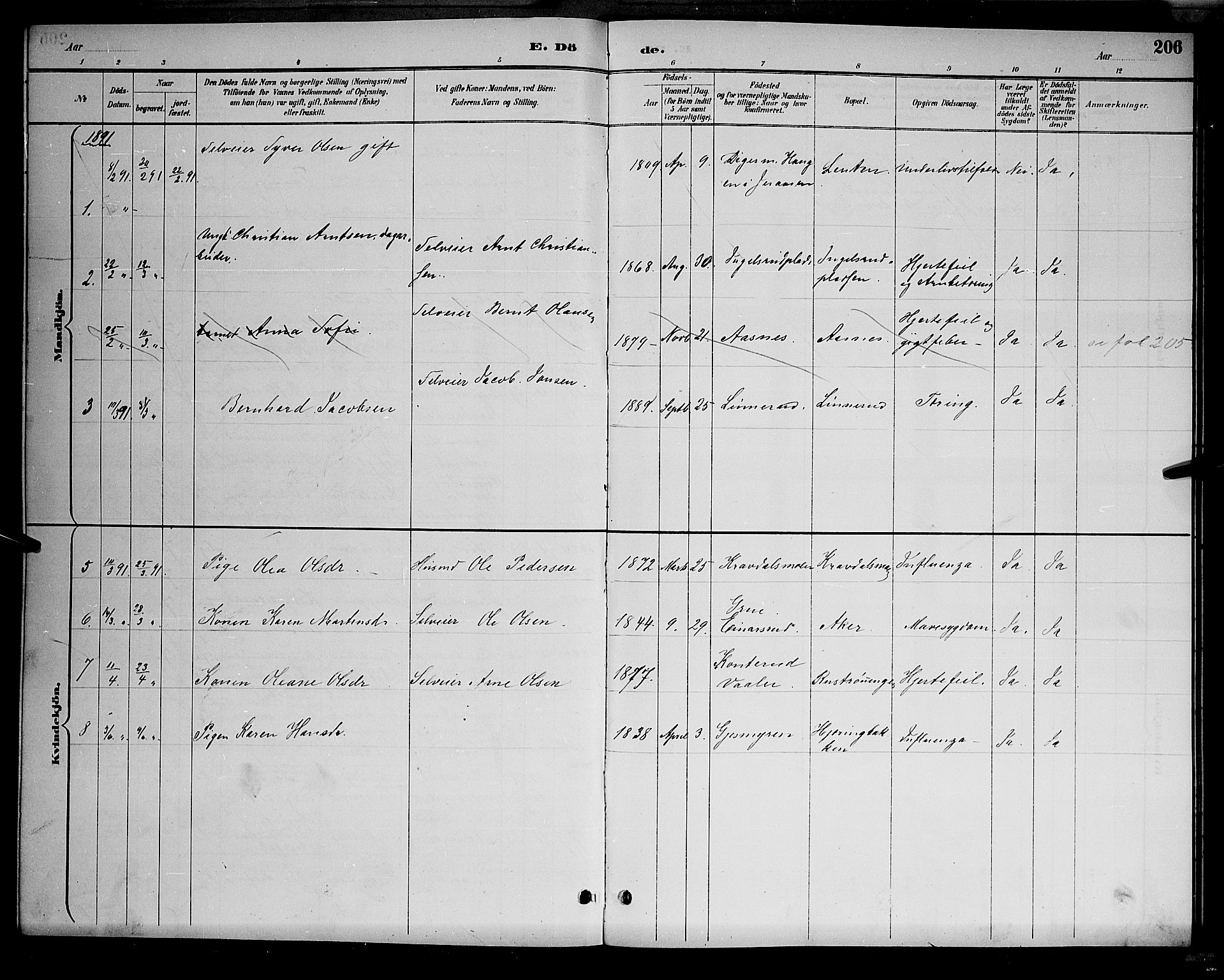 Åsnes prestekontor, AV/SAH-PREST-042/H/Ha/Hab/L0001: Parish register (copy) no. 1, 1890-1891, p. 206