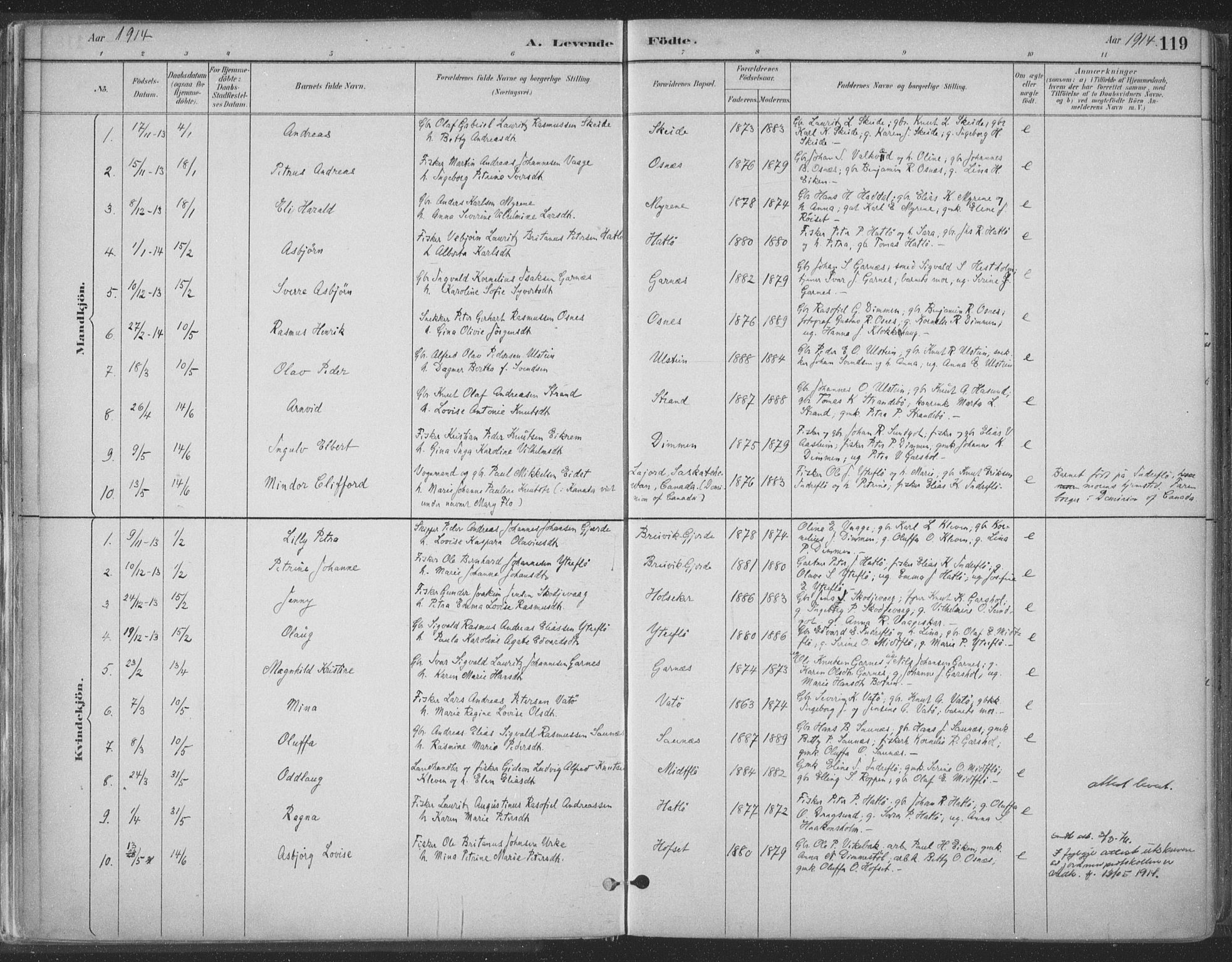 Ministerialprotokoller, klokkerbøker og fødselsregistre - Møre og Romsdal, AV/SAT-A-1454/509/L0106: Parish register (official) no. 509A04, 1883-1922, p. 119
