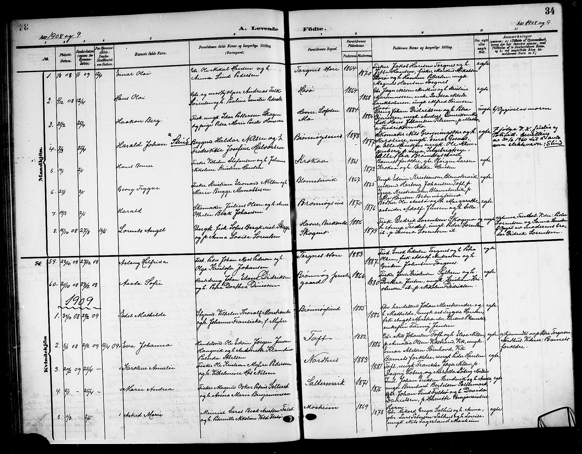 Ministerialprotokoller, klokkerbøker og fødselsregistre - Nordland, AV/SAT-A-1459/813/L0214: Parish register (copy) no. 813C06, 1904-1917, p. 34