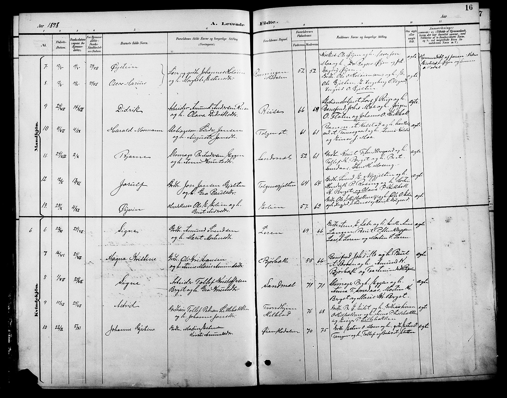 Tolga prestekontor, SAH/PREST-062/L/L0009: Parish register (copy) no. 9, 1892-1919, p. 16