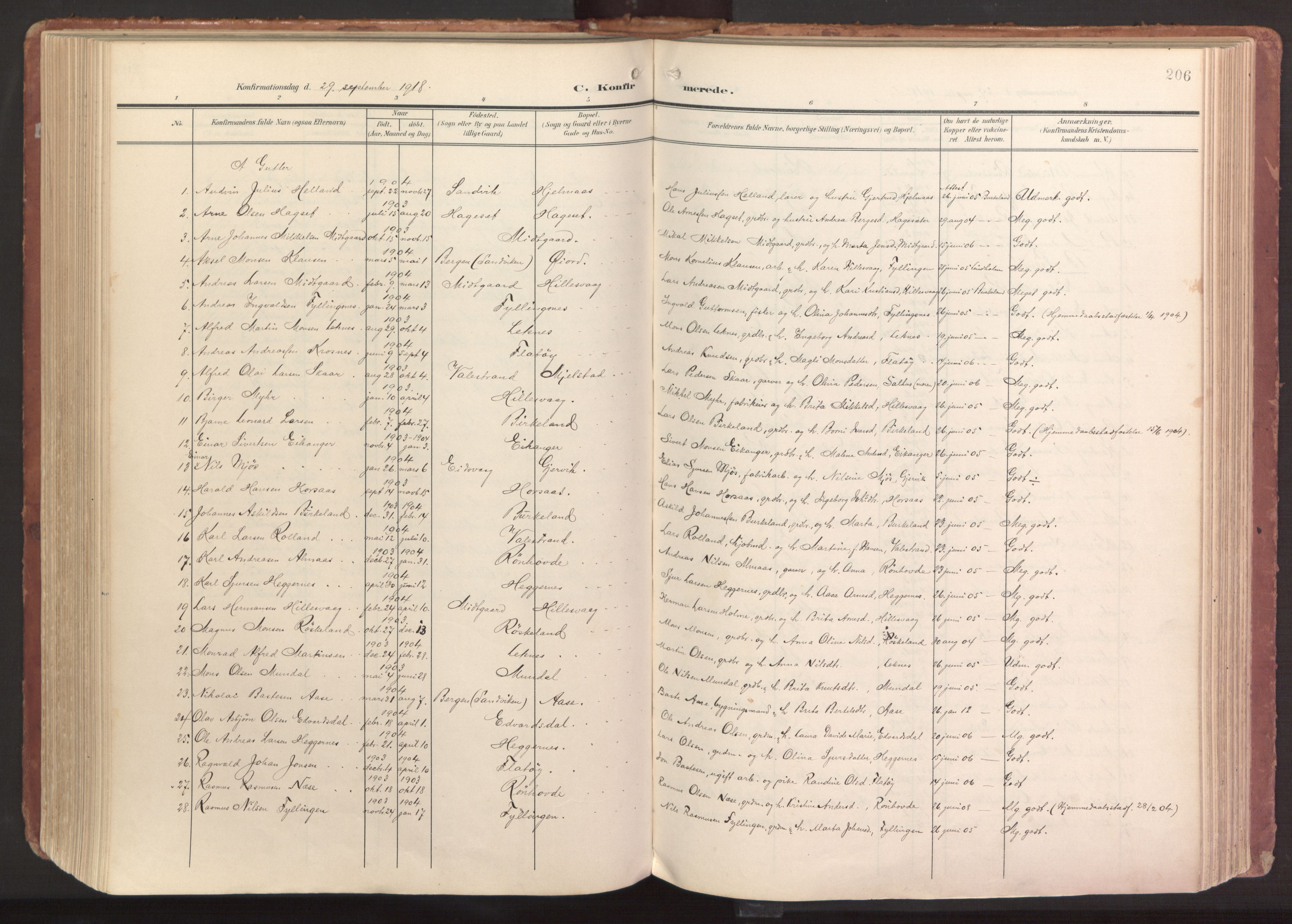 Hamre sokneprestembete, AV/SAB-A-75501/H/Ha/Haa/Haab/L0002: Parish register (official) no. B 2, 1905-1924, p. 206