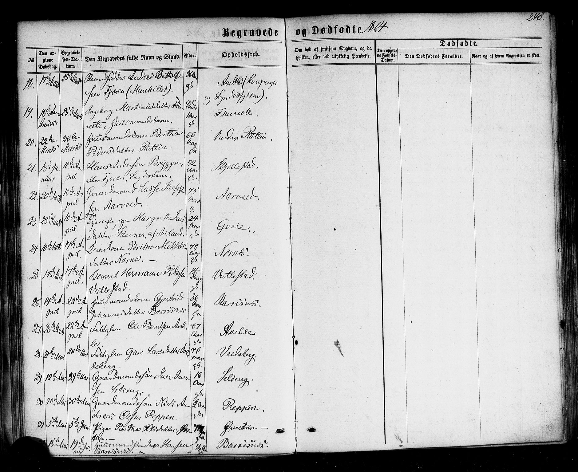 Sogndal sokneprestembete, AV/SAB-A-81301/H/Haa/Haaa/L0013: Parish register (official) no. A 13, 1859-1877, p. 248