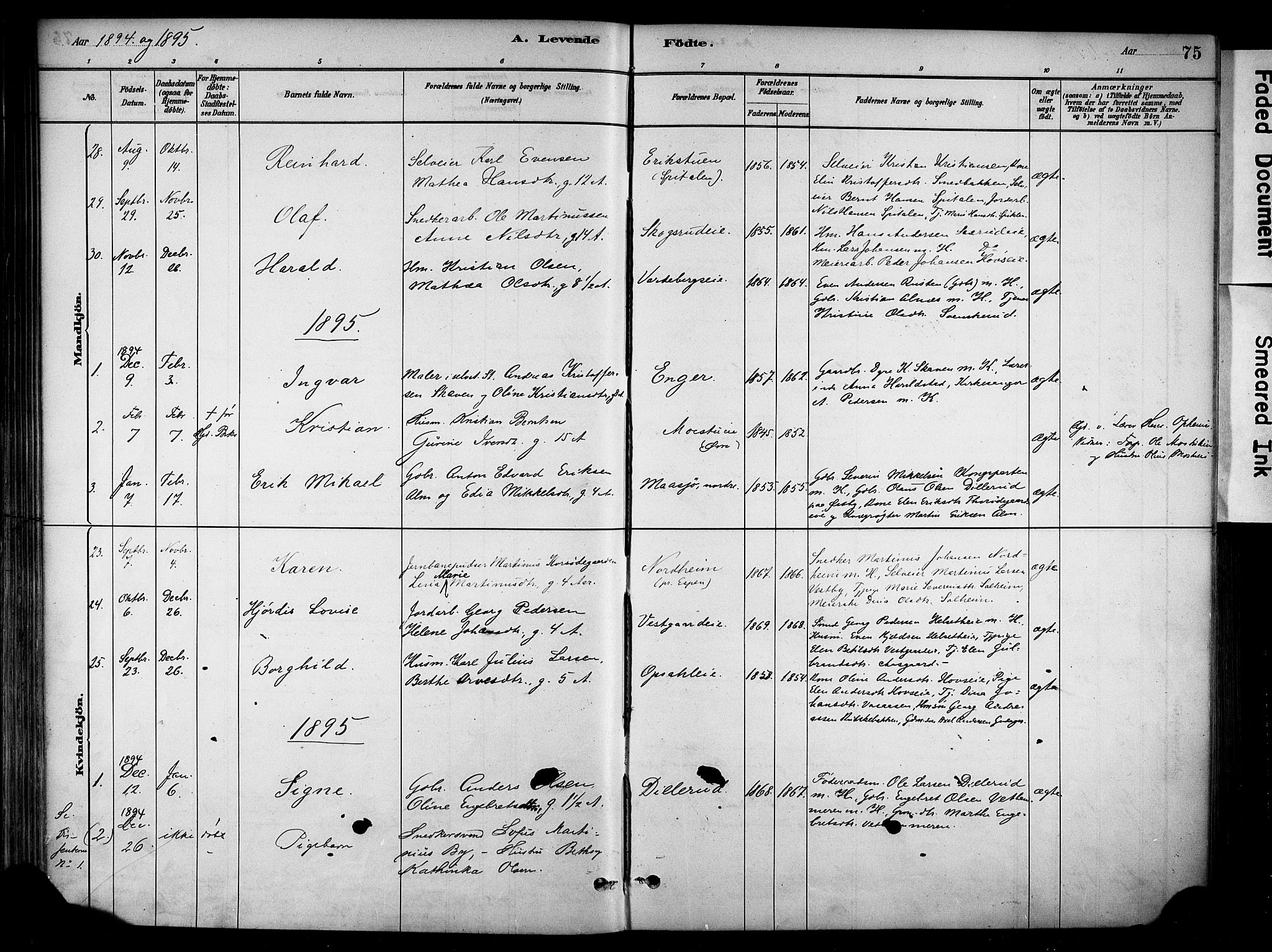 Stange prestekontor, SAH/PREST-002/K/L0018: Parish register (official) no. 18, 1880-1896, p. 75