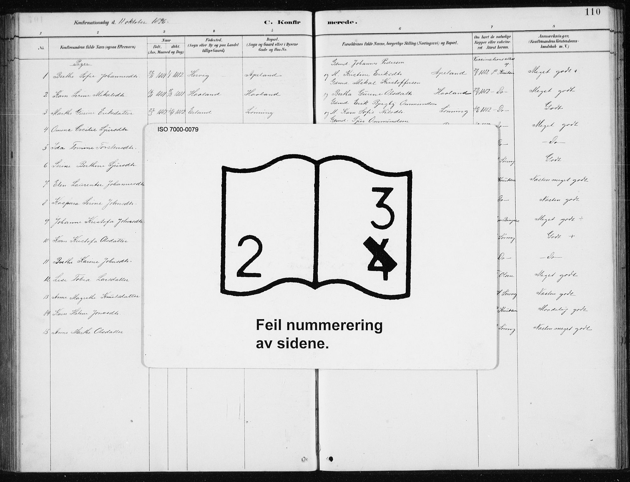 Tysvær sokneprestkontor, AV/SAST-A -101864/H/Ha/Hab/L0004: Parish register (copy) no. B 4, 1883-1896, p. 110