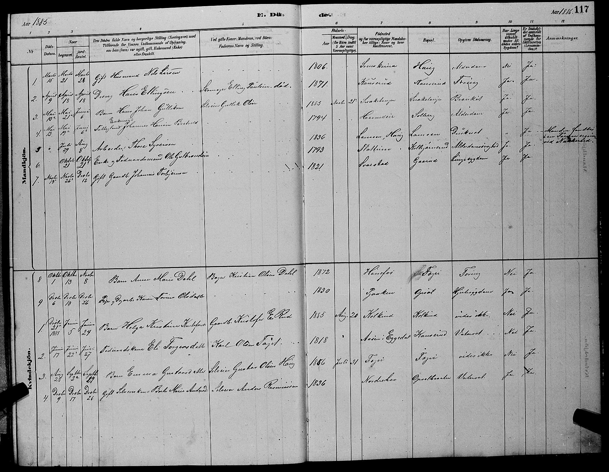 Hole kirkebøker, SAKO/A-228/G/Gb/L0002: Parish register (copy) no. II 2, 1878-1889, p. 117