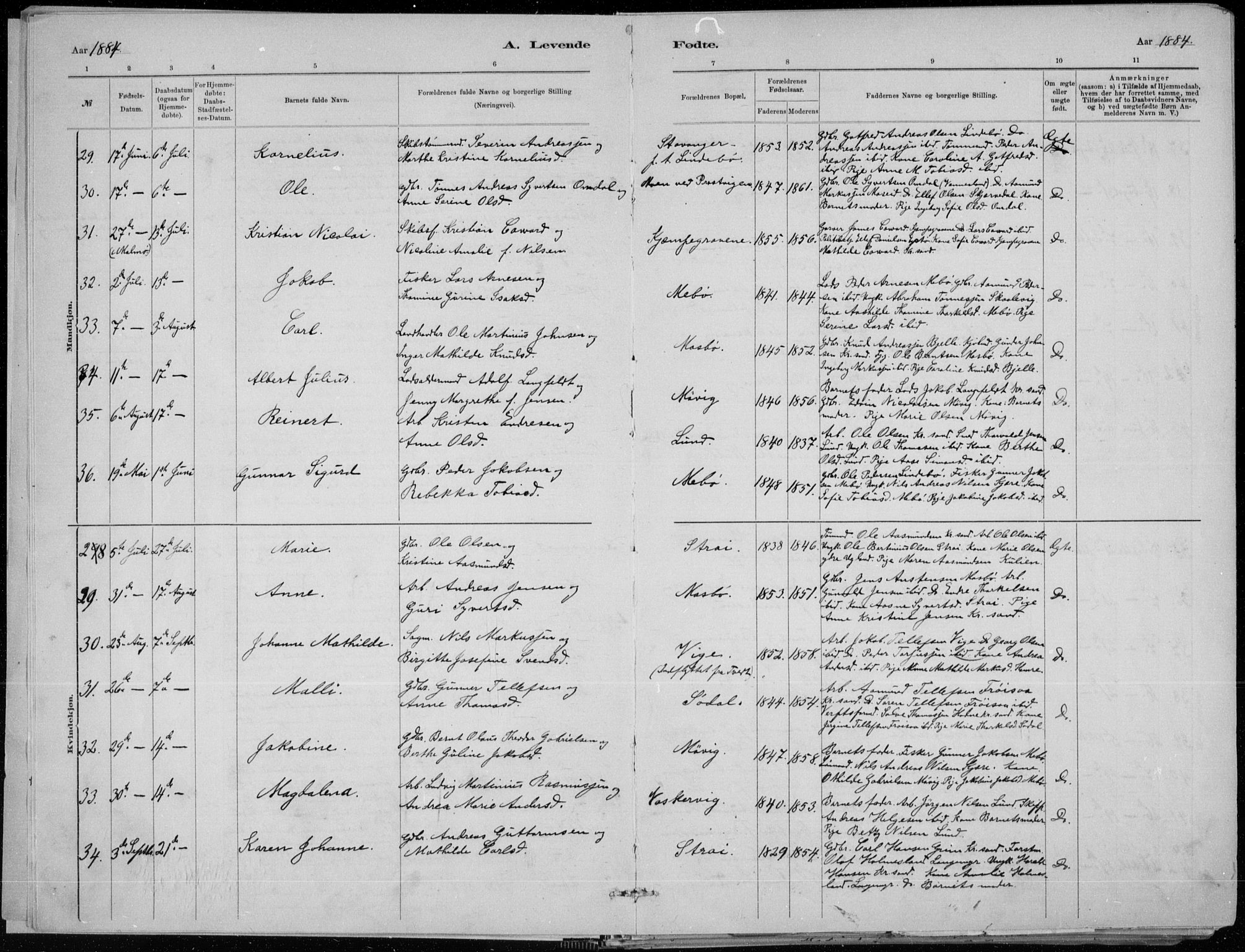 Oddernes sokneprestkontor, AV/SAK-1111-0033/F/Fa/Faa/L0009: Parish register (official) no. A 9, 1884-1896, p. 5