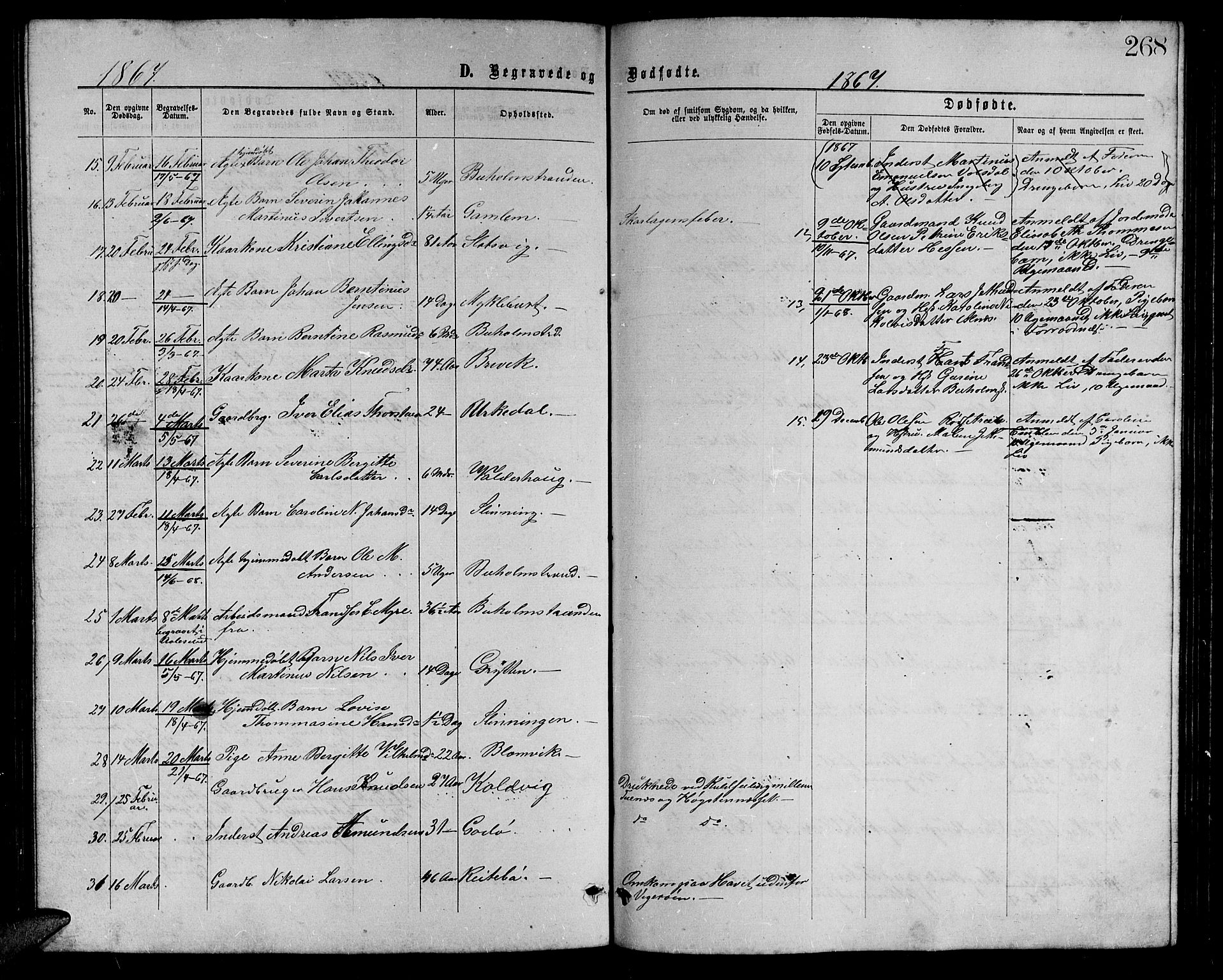 Ministerialprotokoller, klokkerbøker og fødselsregistre - Møre og Romsdal, AV/SAT-A-1454/528/L0428: Parish register (copy) no. 528C09, 1864-1880, p. 268