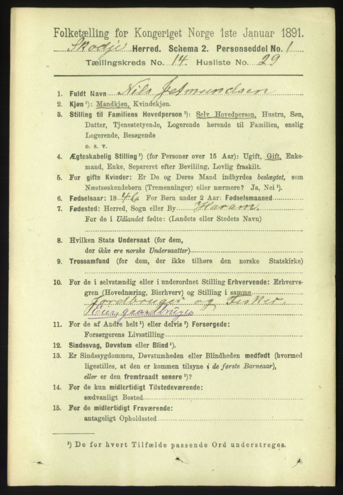 RA, 1891 census for 1529 Skodje, 1891, p. 3177