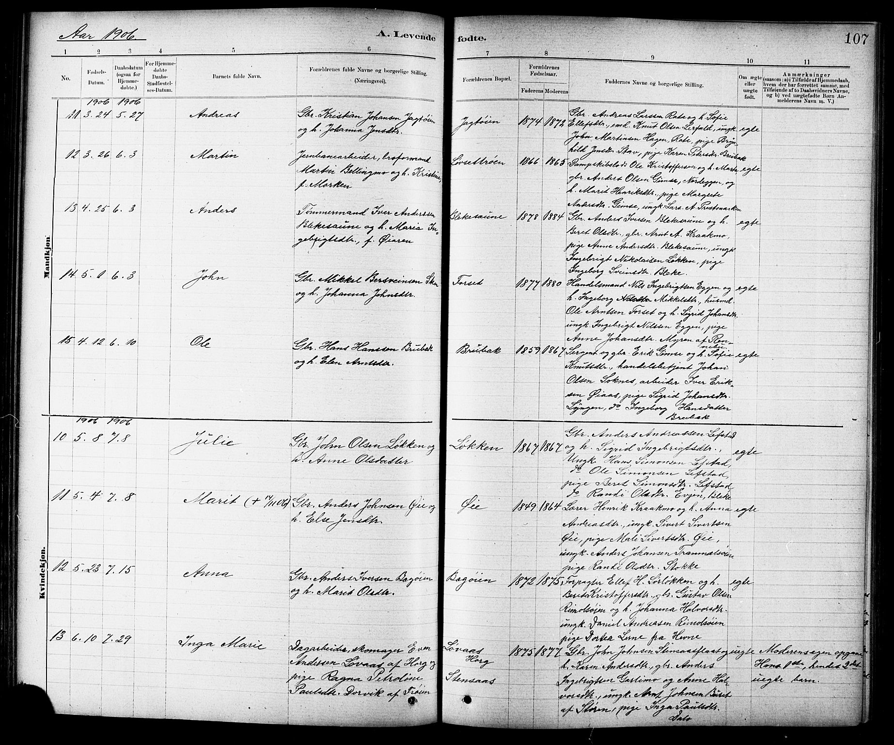 Ministerialprotokoller, klokkerbøker og fødselsregistre - Sør-Trøndelag, AV/SAT-A-1456/691/L1094: Parish register (copy) no. 691C05, 1879-1911, p. 107