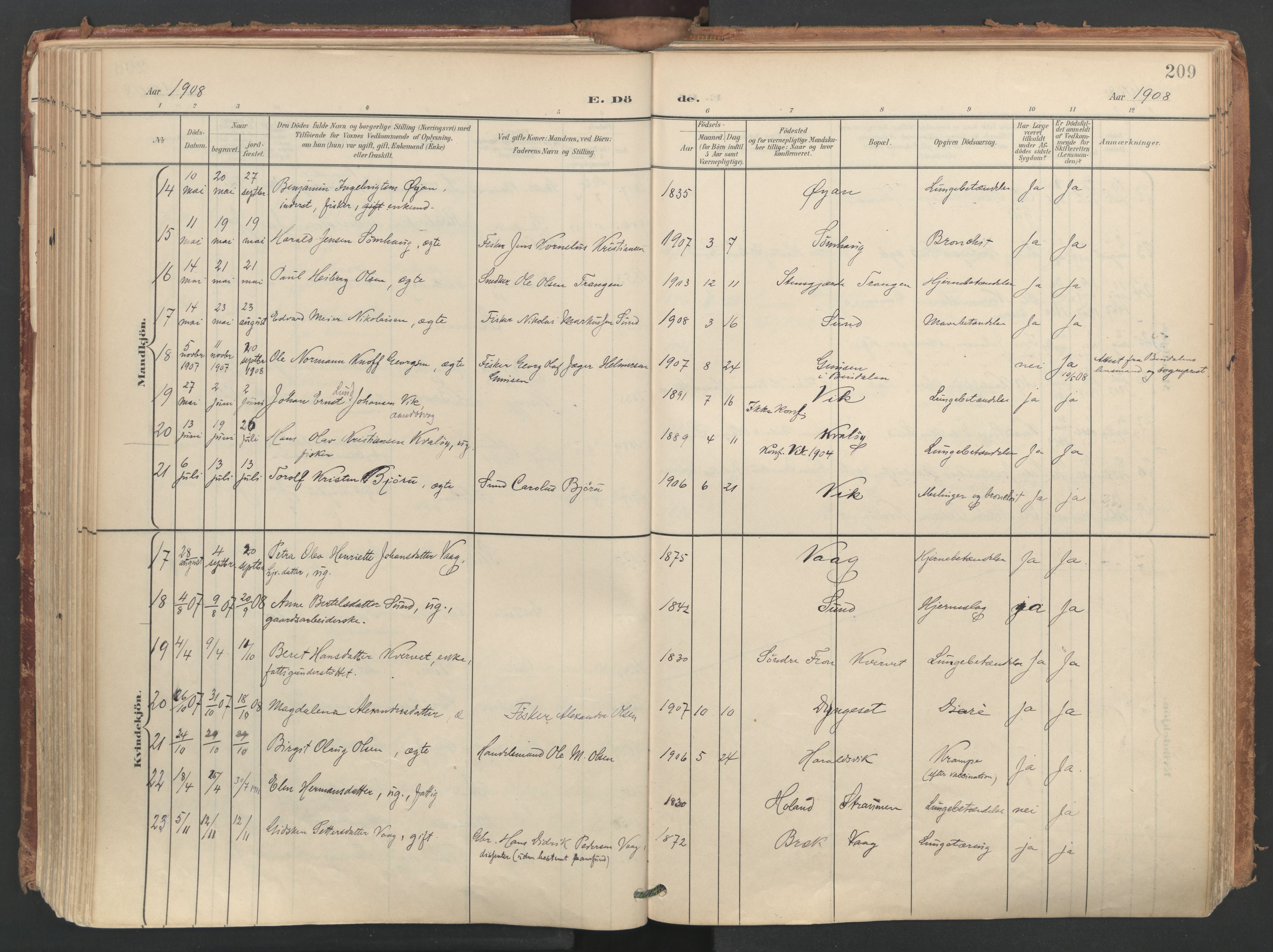 Ministerialprotokoller, klokkerbøker og fødselsregistre - Nordland, SAT/A-1459/812/L0180: Parish register (official) no. 812A09, 1901-1915, p. 209