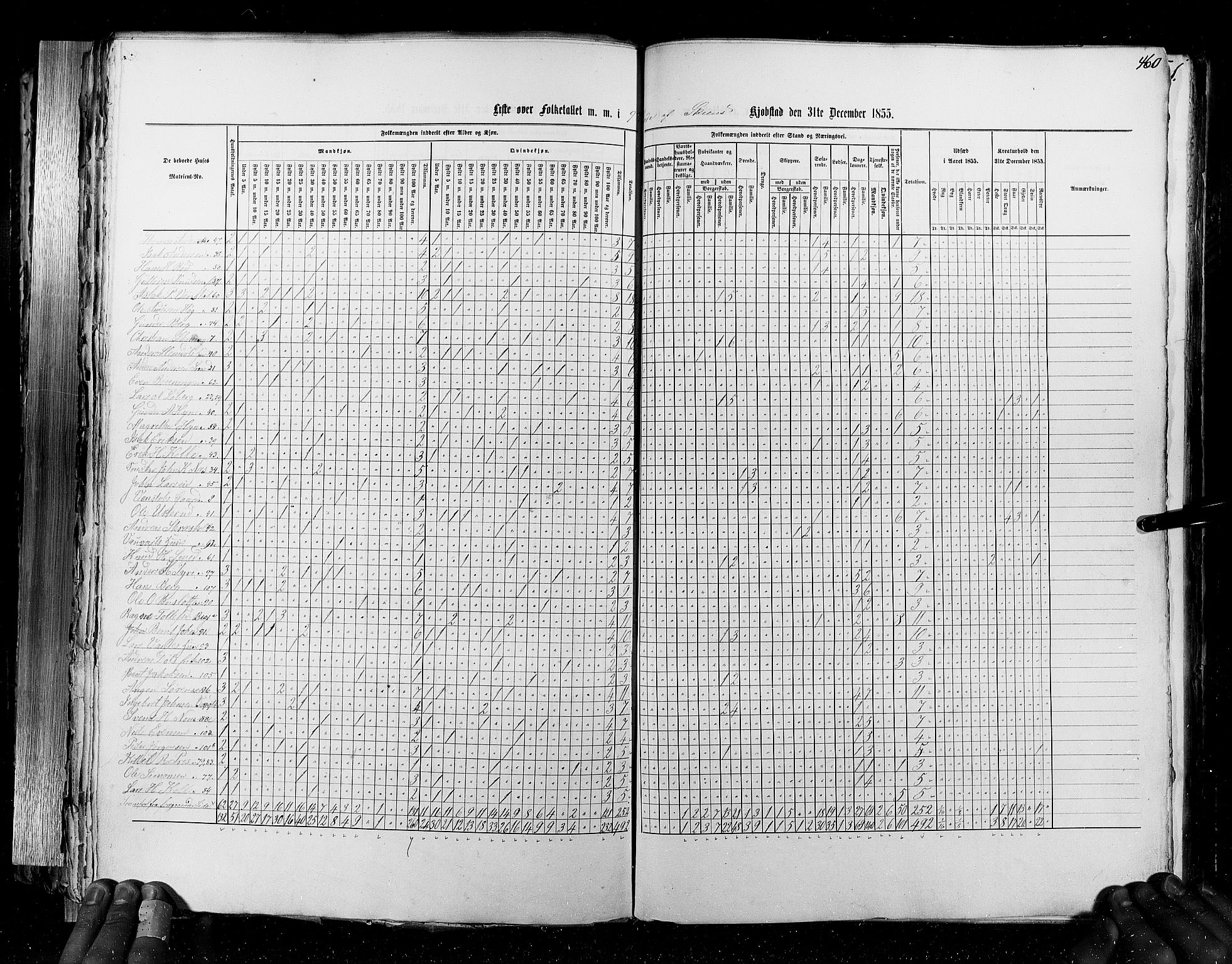 RA, Census 1855, vol. 7: Fredrikshald-Kragerø, 1855, p. 460