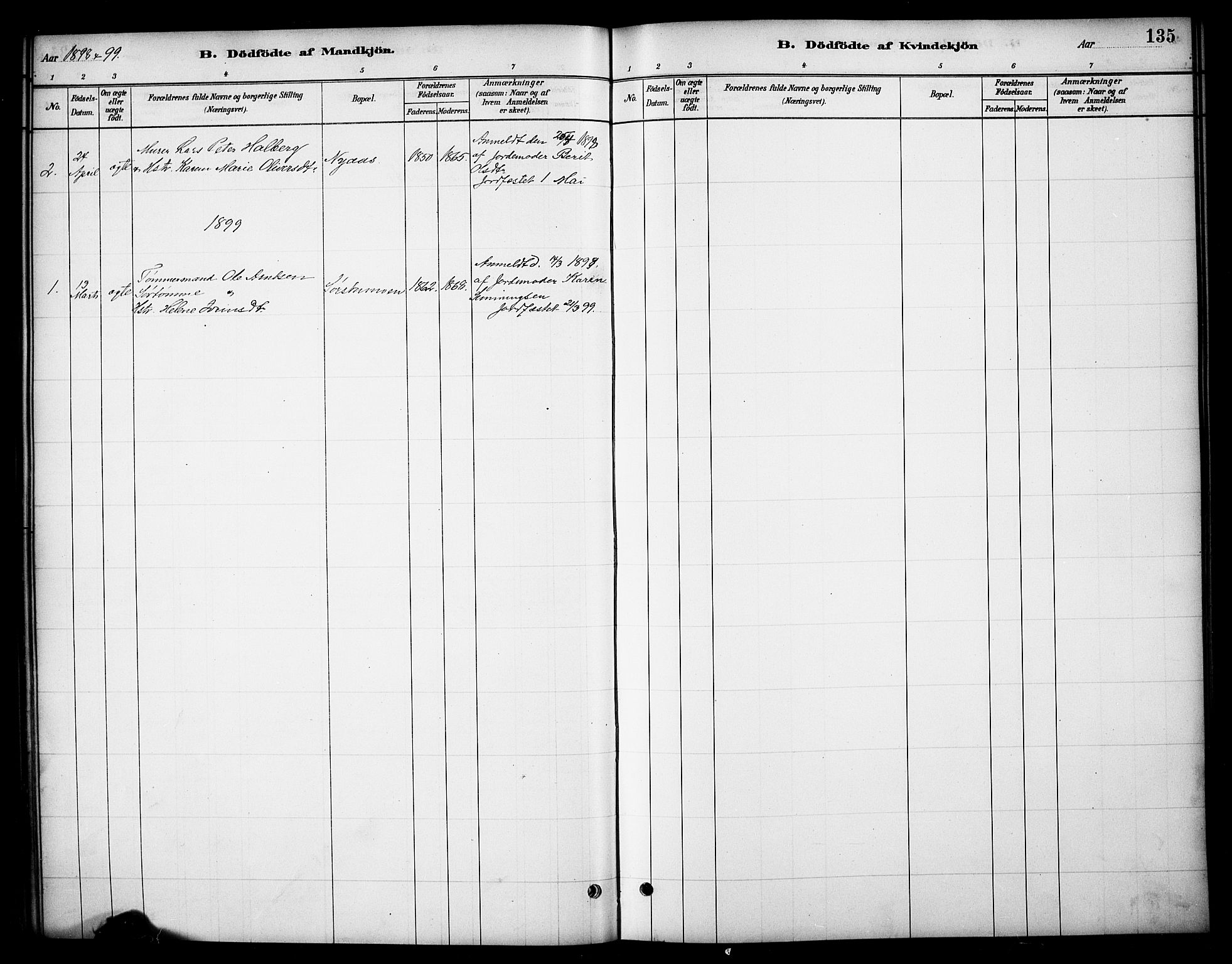 Tynset prestekontor, SAH/PREST-058/H/Ha/Hab/L0006: Parish register (copy) no. 6, 1880-1899, p. 135