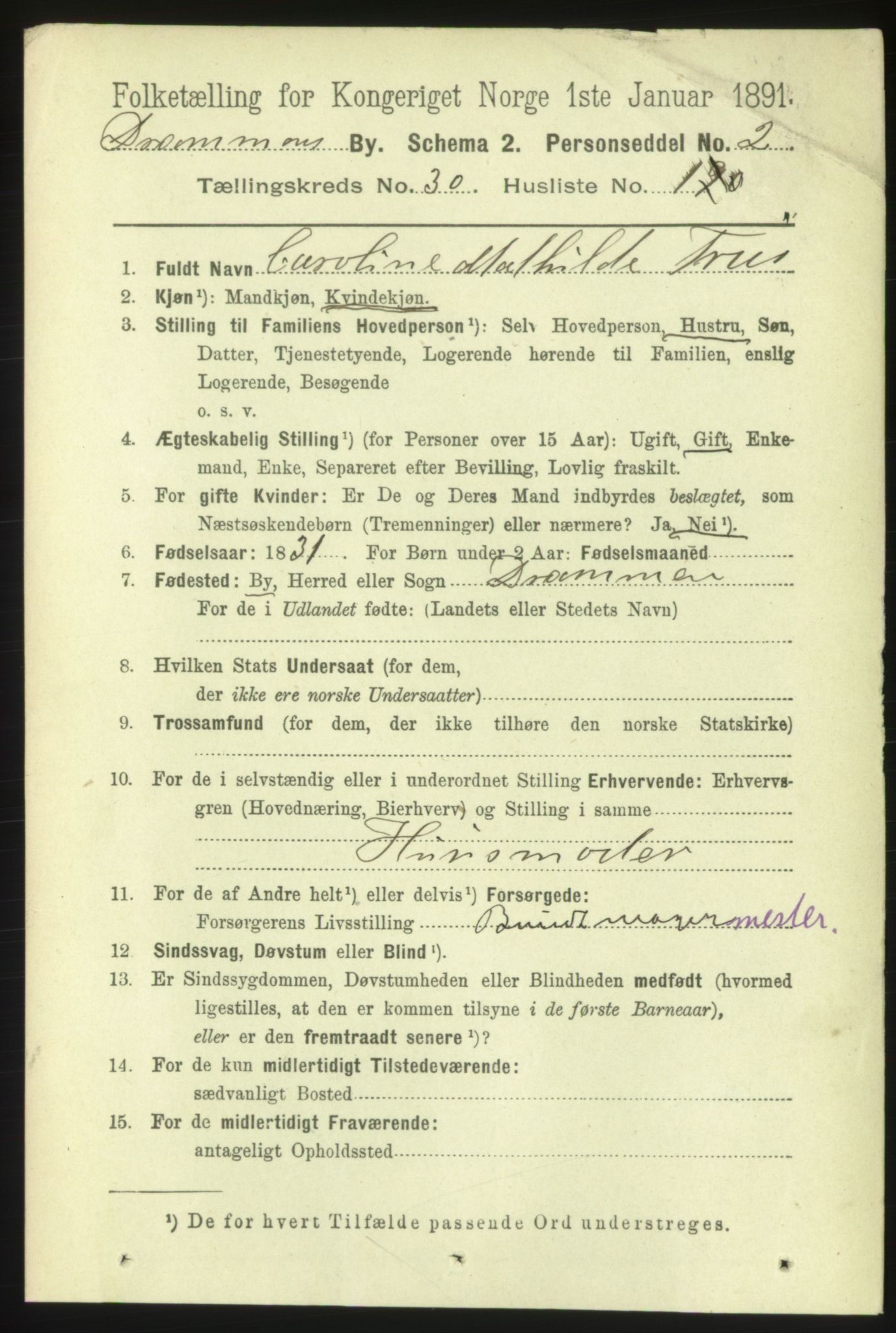 RA, 1891 census for 0602 Drammen, 1891, p. 18076