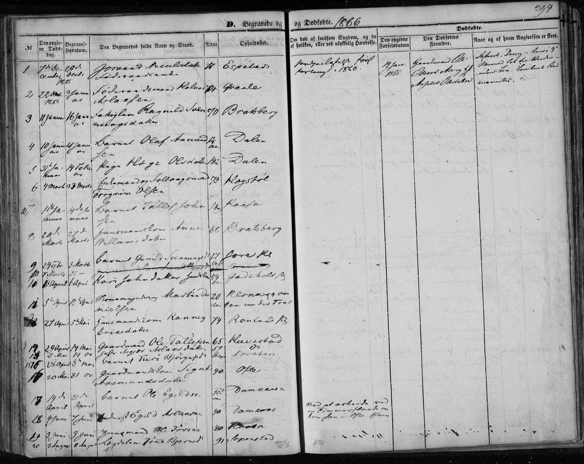 Lårdal kirkebøker, SAKO/A-284/F/Fa/L0006: Parish register (official) no. I 6, 1861-1886, p. 294