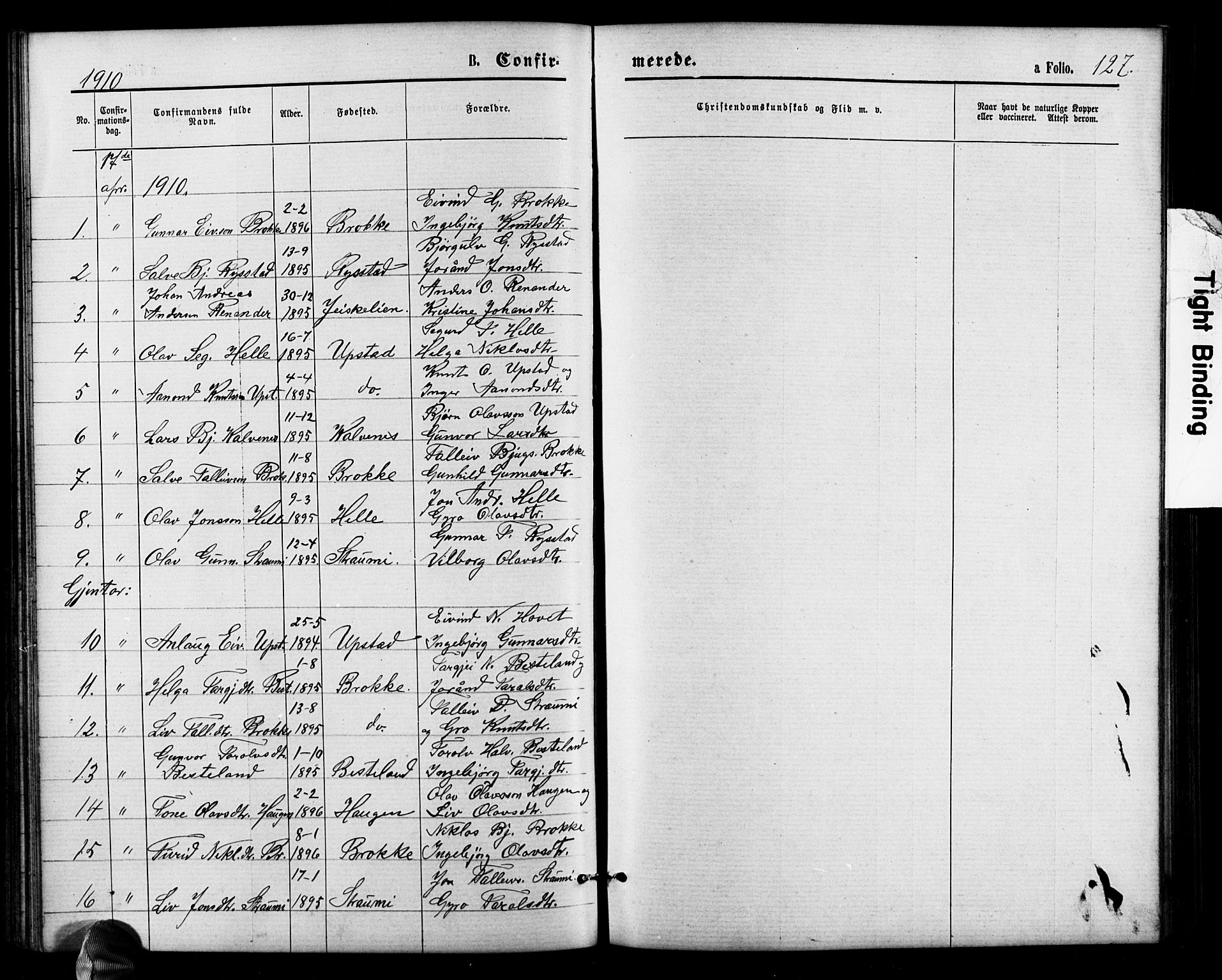 Valle sokneprestkontor, AV/SAK-1111-0044/F/Fb/Fbb/L0002: Parish register (copy) no. B 2, 1875-1921, p. 127