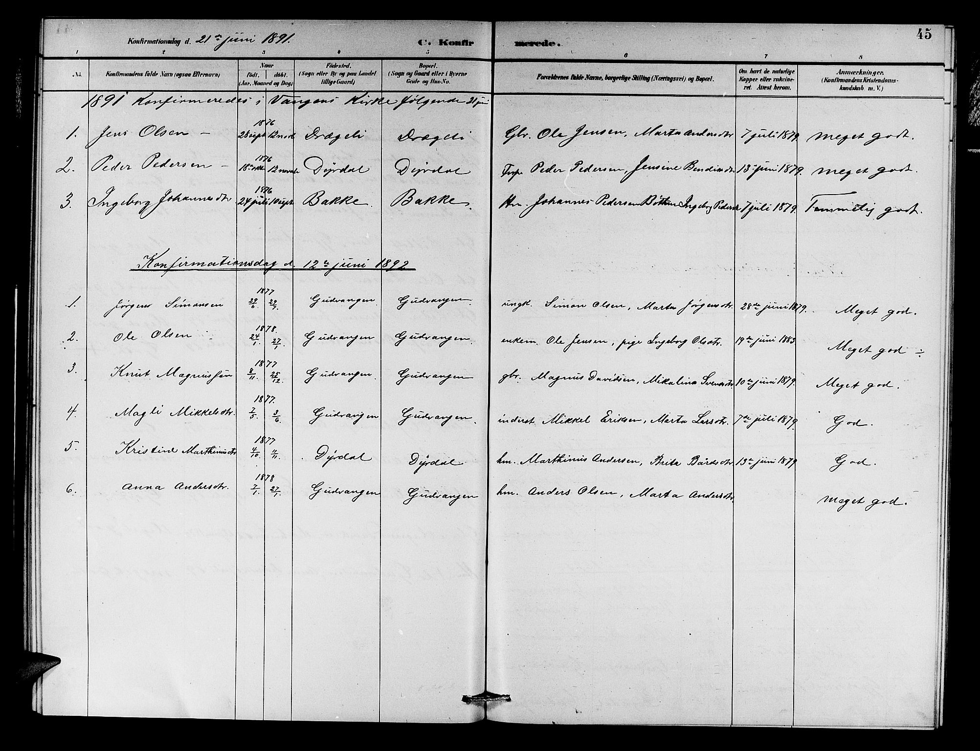 Aurland sokneprestembete, SAB/A-99937/H/Hb/Hbc/L0002: Parish register (copy) no. C 2, 1883-1900, p. 45