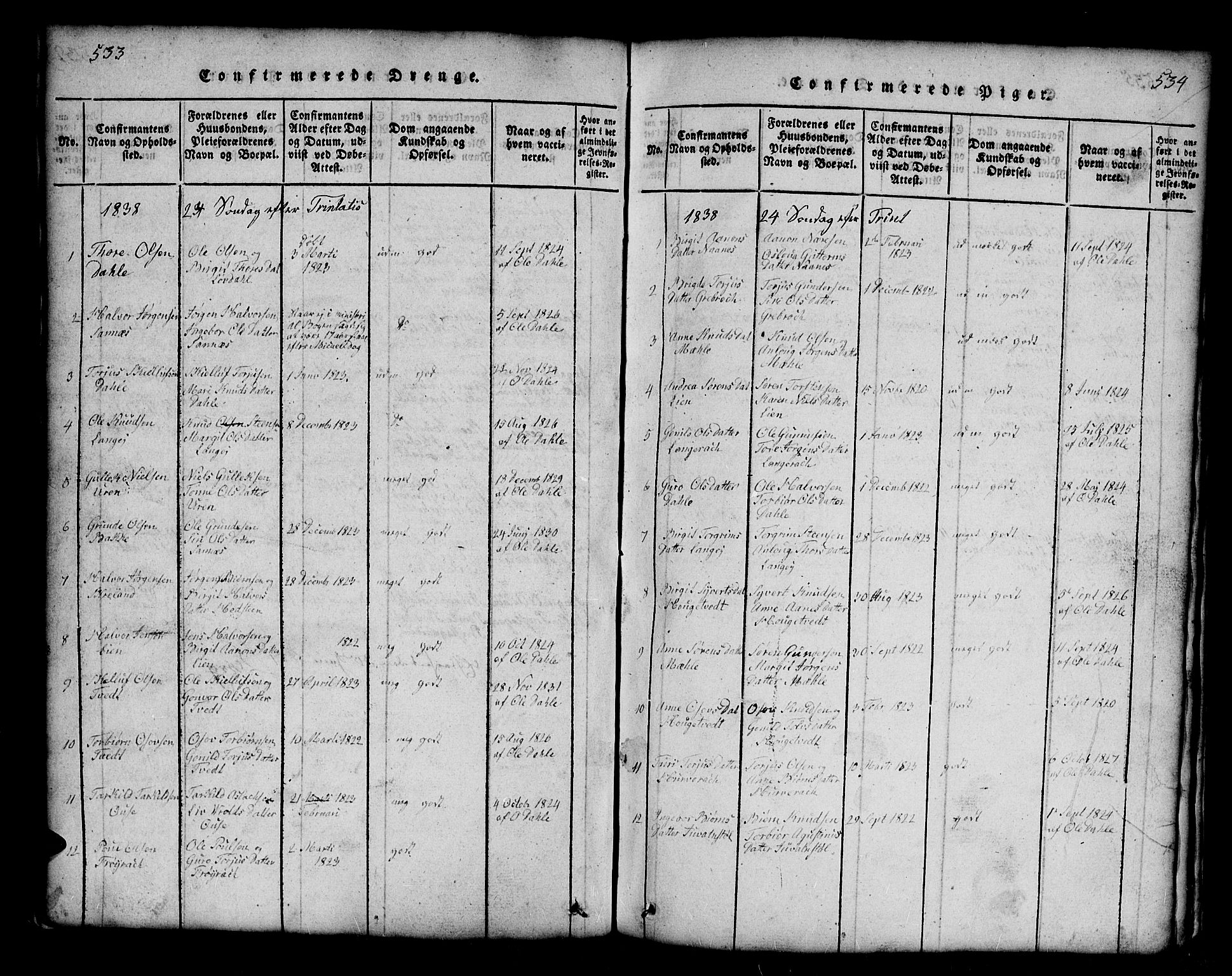 Bygland sokneprestkontor, SAK/1111-0006/F/Fb/Fbb/L0001: Parish register (copy) no. B 1, 1816-1843, p. 533-534