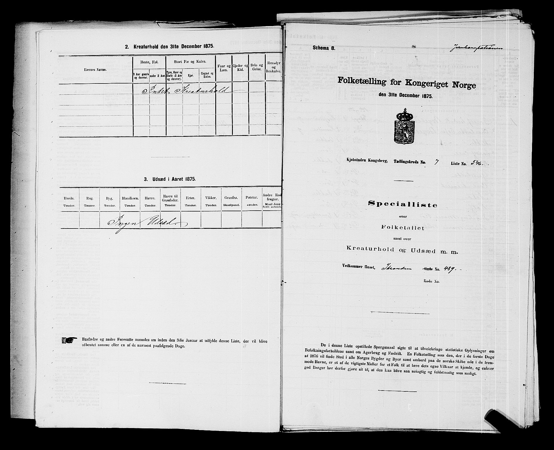 SAKO, 1875 census for 0604B Kongsberg/Kongsberg, 1875, p. 1207