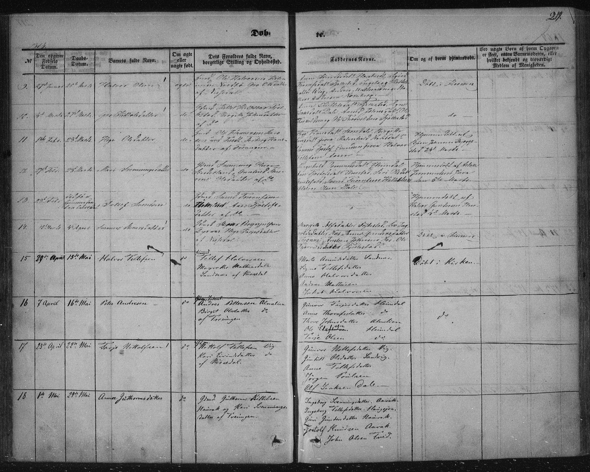 Nissedal kirkebøker, SAKO/A-288/F/Fa/L0003: Parish register (official) no. I 3, 1846-1870, p. 218-219