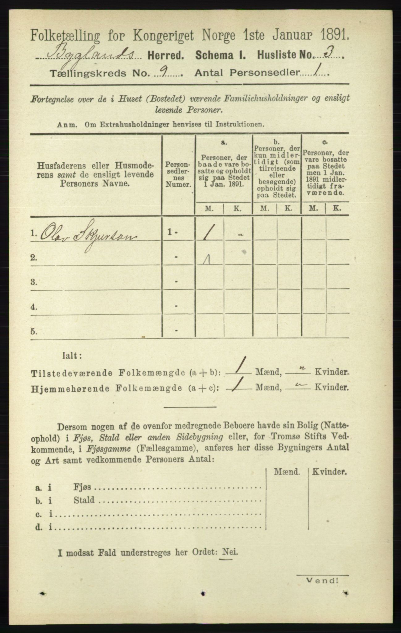 RA, 1891 census for 0938 Bygland, 1891, p. 2194