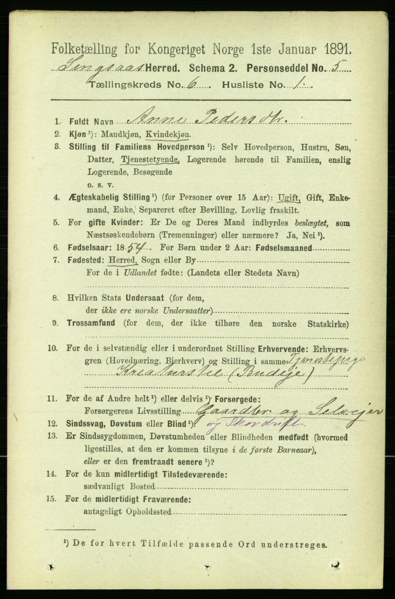 RA, 1891 census for 1646 Singsås, 1891, p. 1224