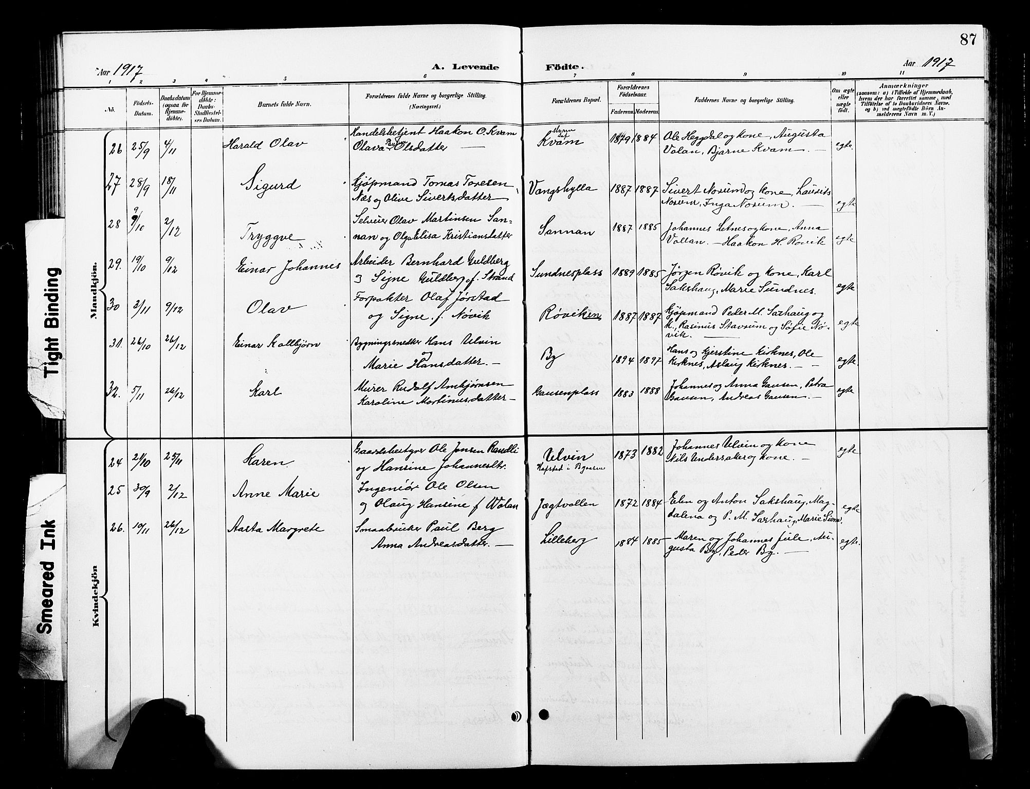 Ministerialprotokoller, klokkerbøker og fødselsregistre - Nord-Trøndelag, SAT/A-1458/730/L0302: Parish register (copy) no. 730C05, 1898-1924, p. 87