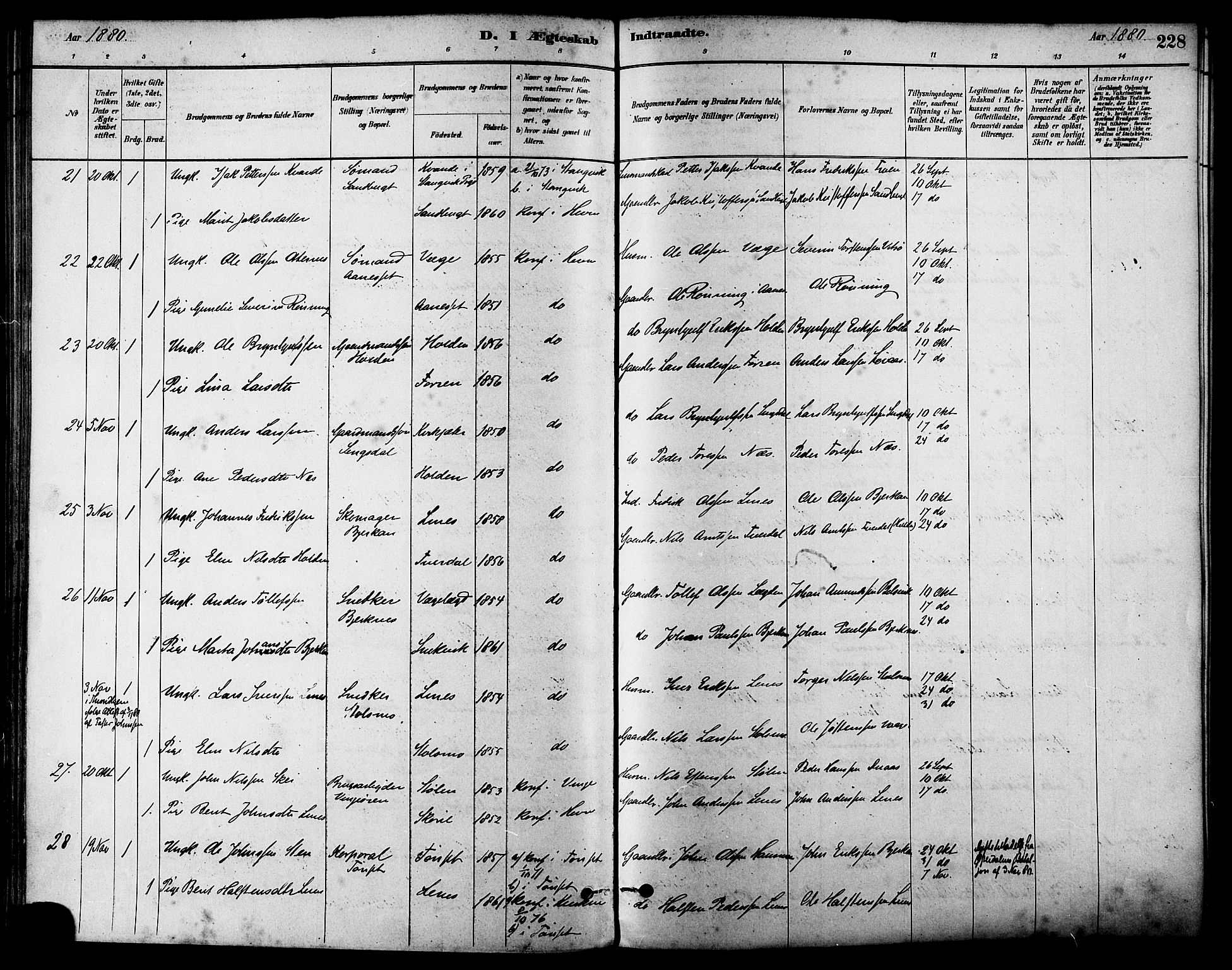 Ministerialprotokoller, klokkerbøker og fødselsregistre - Sør-Trøndelag, SAT/A-1456/630/L0496: Parish register (official) no. 630A09, 1879-1895, p. 228
