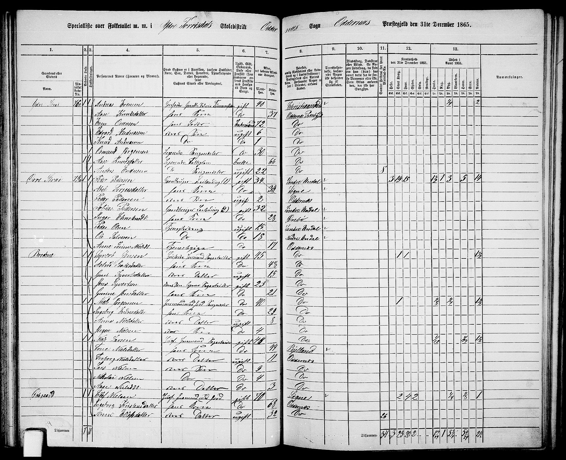 RA, 1865 census for Oddernes, 1865, p. 56