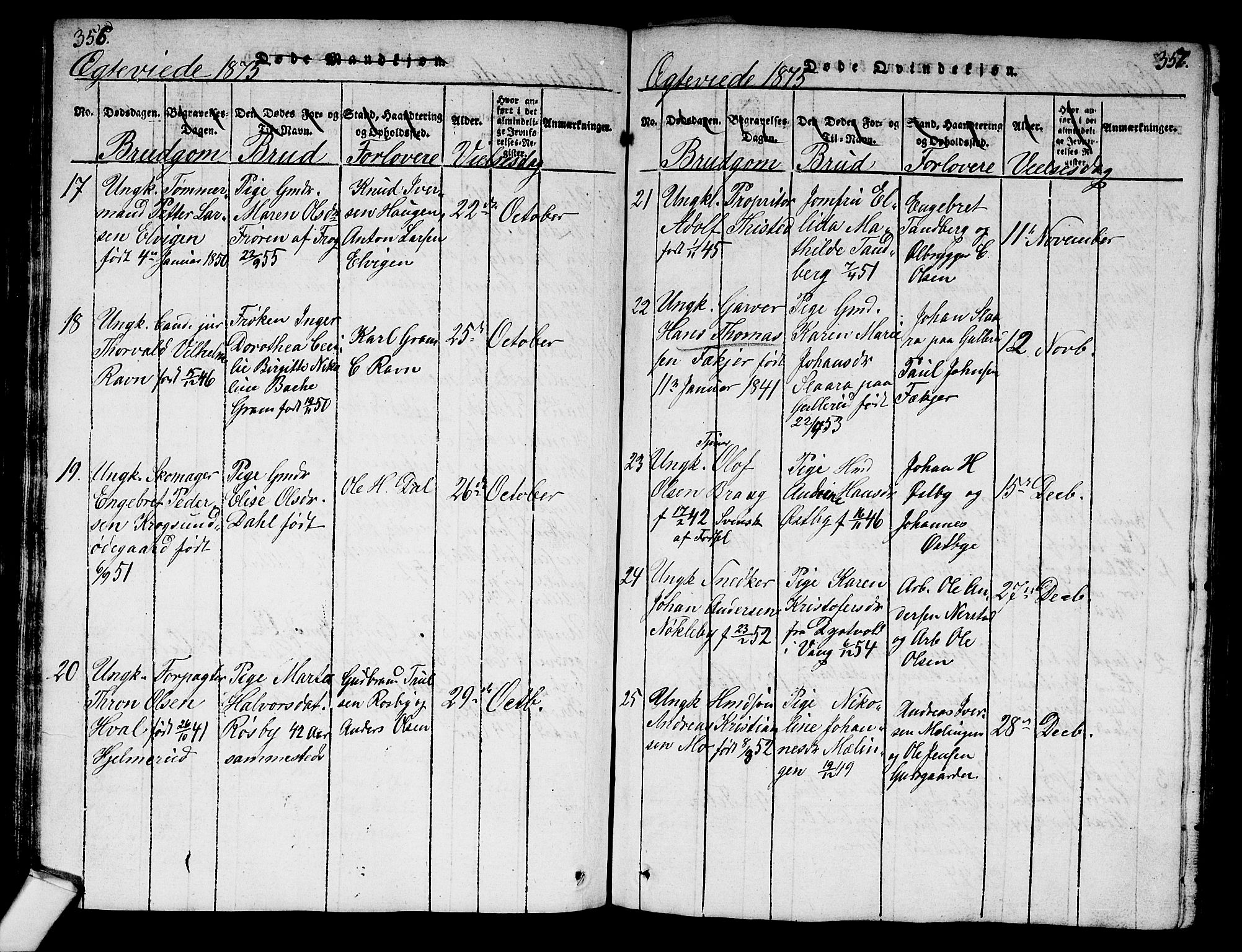 Norderhov kirkebøker, AV/SAKO-A-237/G/Ga/L0003: Parish register (copy) no. I 3 /1, 1814-1876, p. 356-357