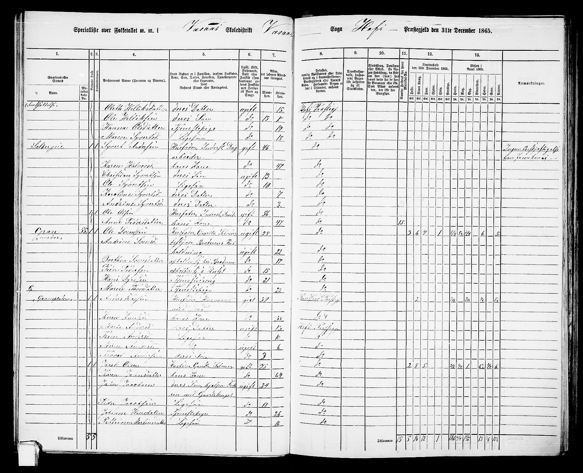 RA, 1865 census for Hof, 1865, p. 65