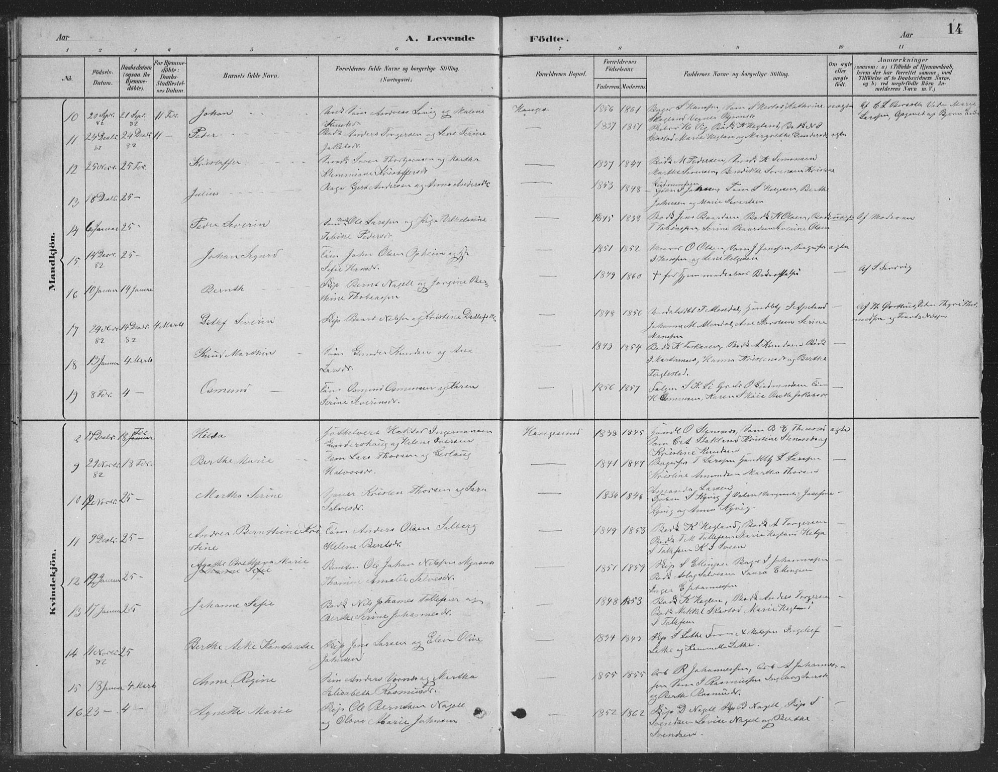 Haugesund sokneprestkontor, SAST/A -101863/H/Ha/Hab/L0002: Parish register (copy) no. B 2, 1881-1894, p. 14