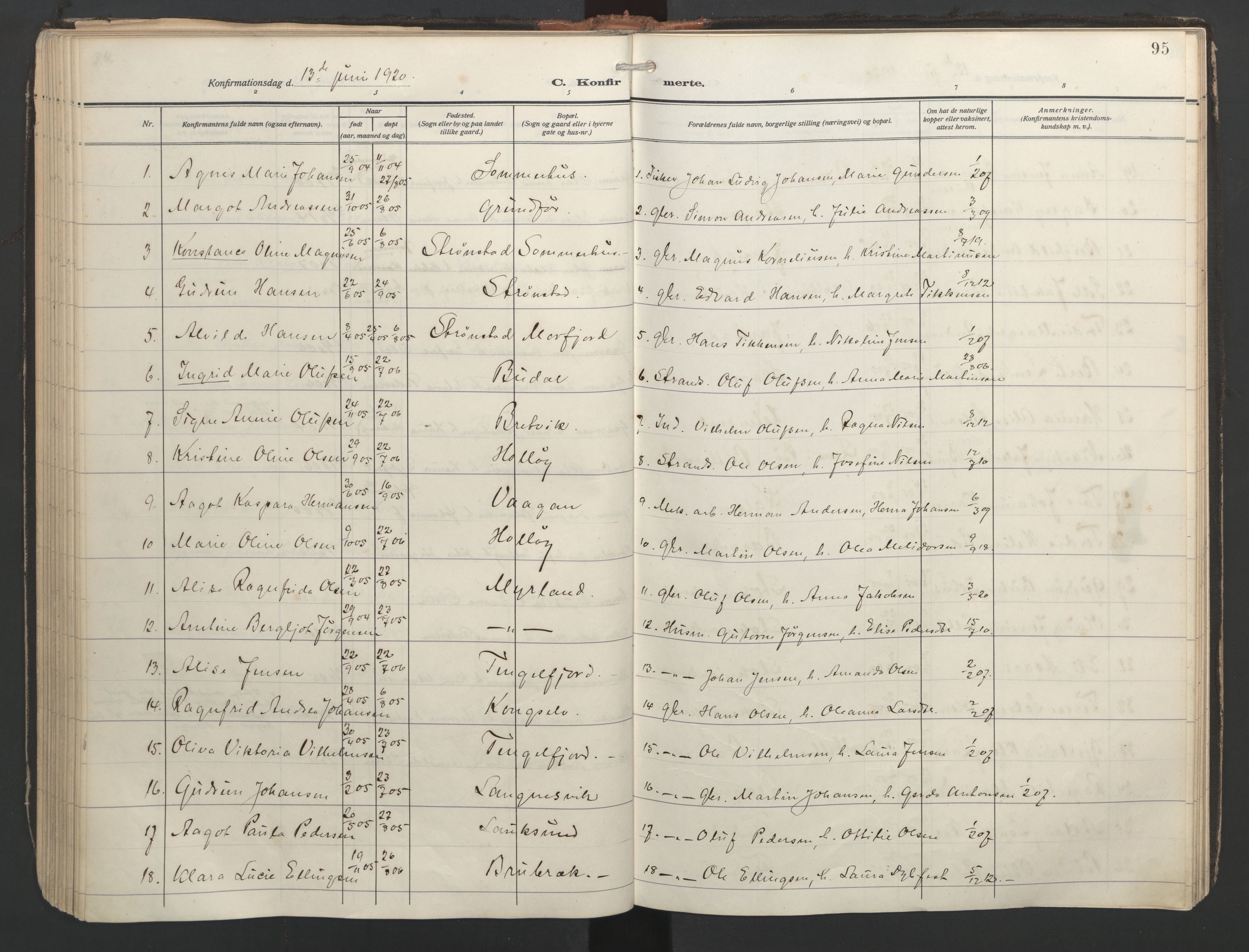 Ministerialprotokoller, klokkerbøker og fødselsregistre - Nordland, AV/SAT-A-1459/888/L1249: Parish register (official) no. 888A15, 1911-1929, p. 95