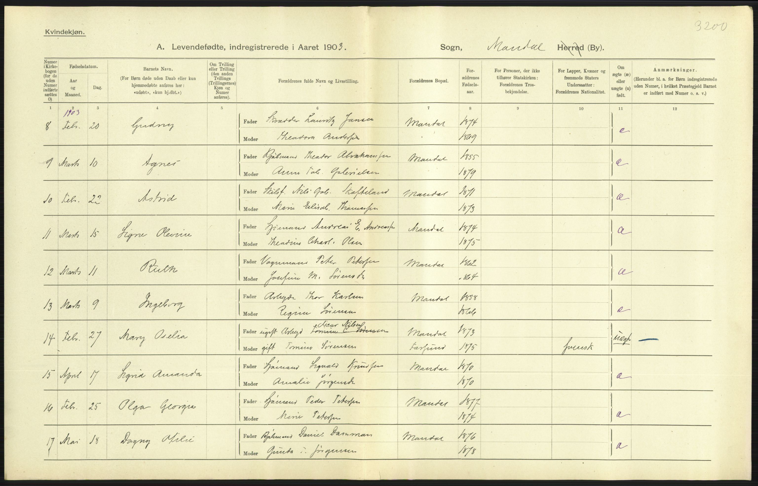 Statistisk sentralbyrå, Sosiodemografiske emner, Befolkning, AV/RA-S-2228/D/Df/Dfa/Dfaa/L0011: Lister og Mandal amt: Fødte, gifte, døde, 1903, p. 209