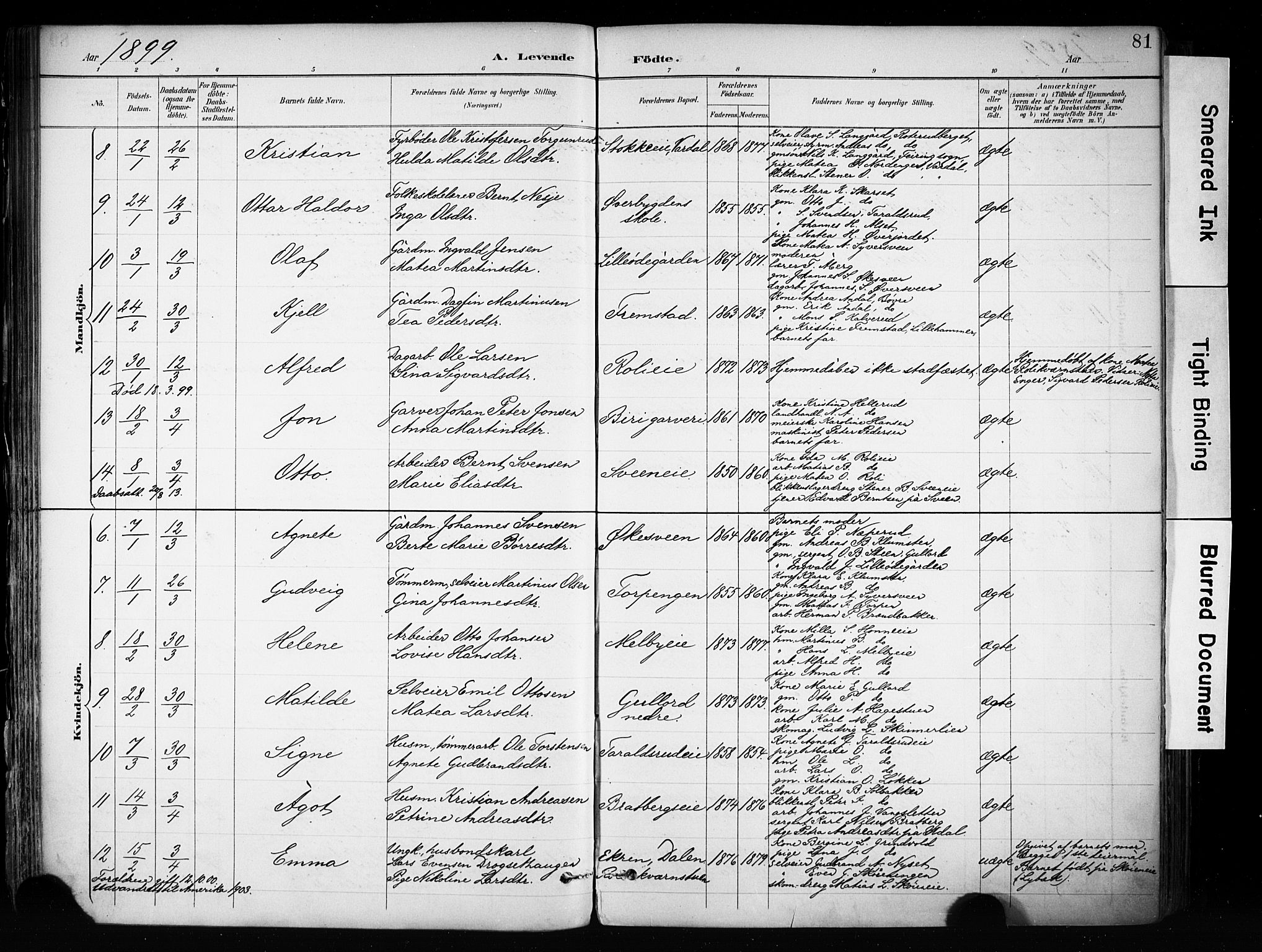 Biri prestekontor, AV/SAH-PREST-096/H/Ha/Haa/L0009: Parish register (official) no. 9, 1887-1900, p. 81