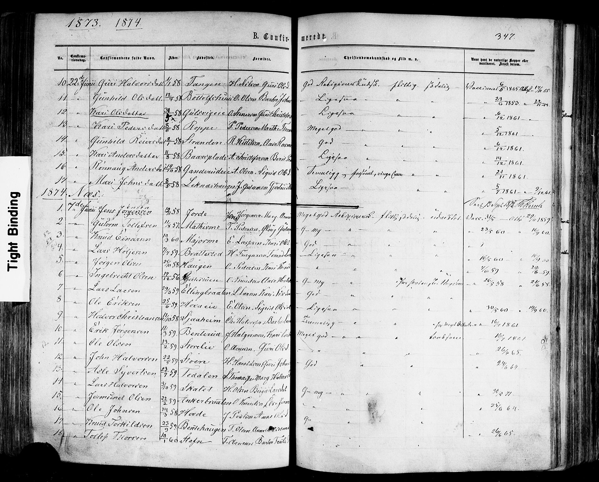Nes kirkebøker, SAKO/A-236/F/Fa/L0010: Parish register (official) no. 10, 1864-1880, p. 347